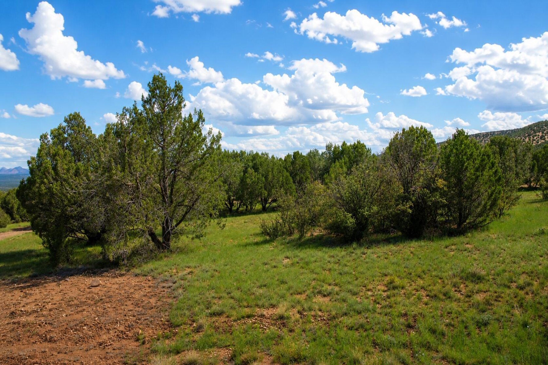  101 W Highland Street¦Williams, AZ - 物件實景