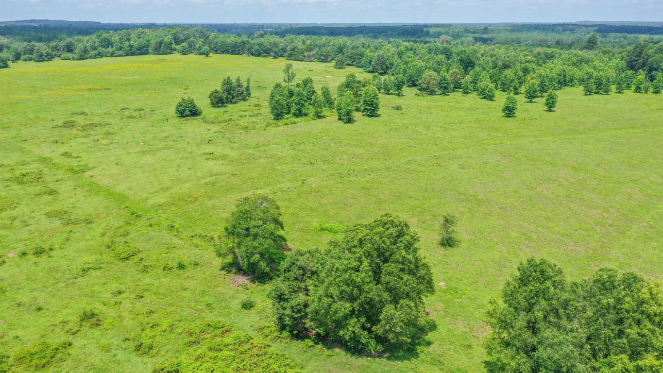Linden, Texas, 75563, United States, ,Residential,For Sale,1809519