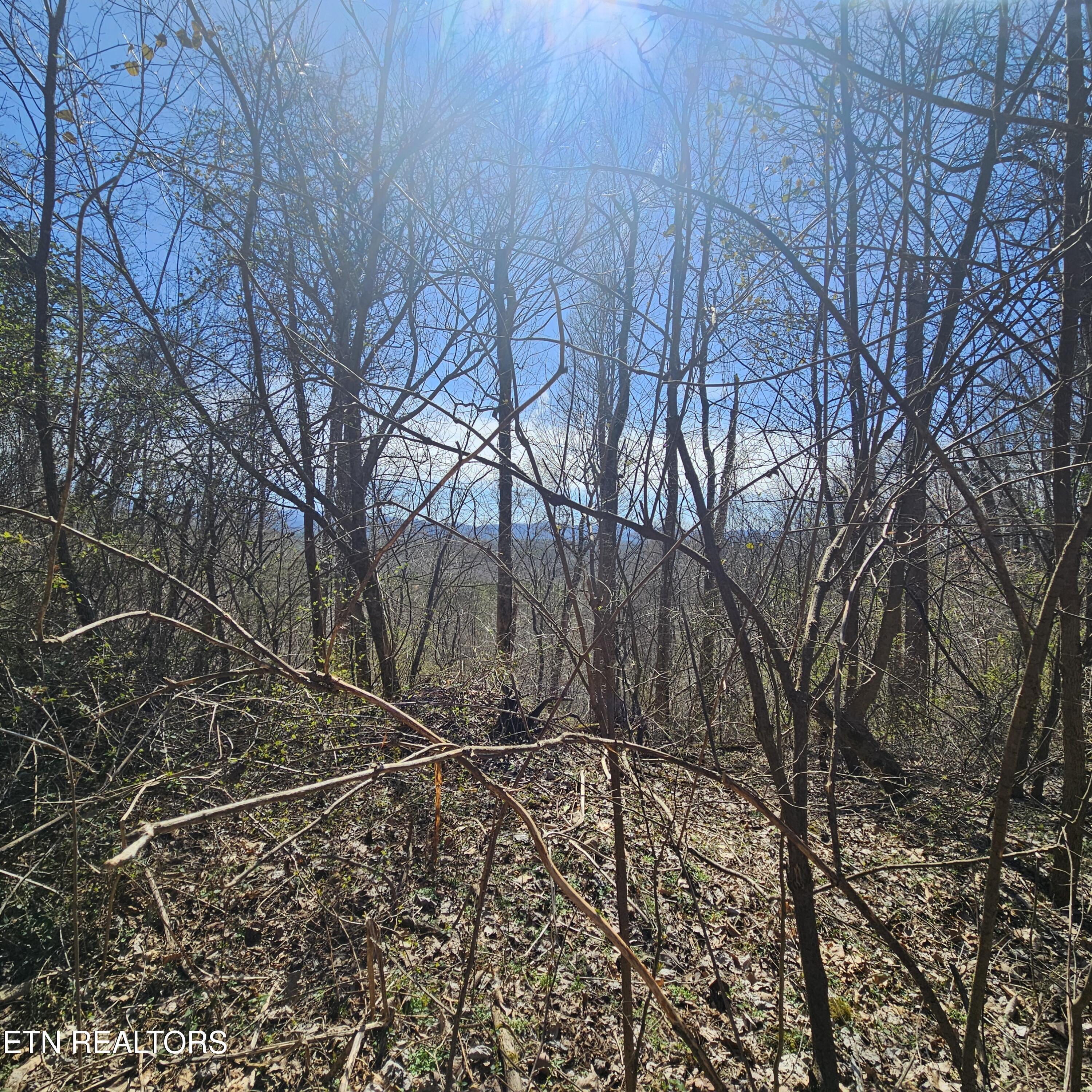 Tellico Plains, Tennessee, 37385, United States, ,Residential,For Sale,1922105