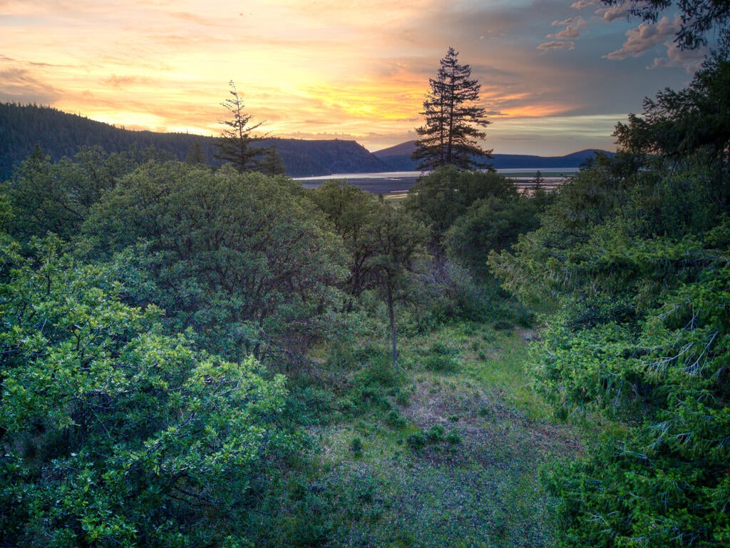 Klamath Falls, Oregon, 97601, United States, ,Land,For Sale,1793869