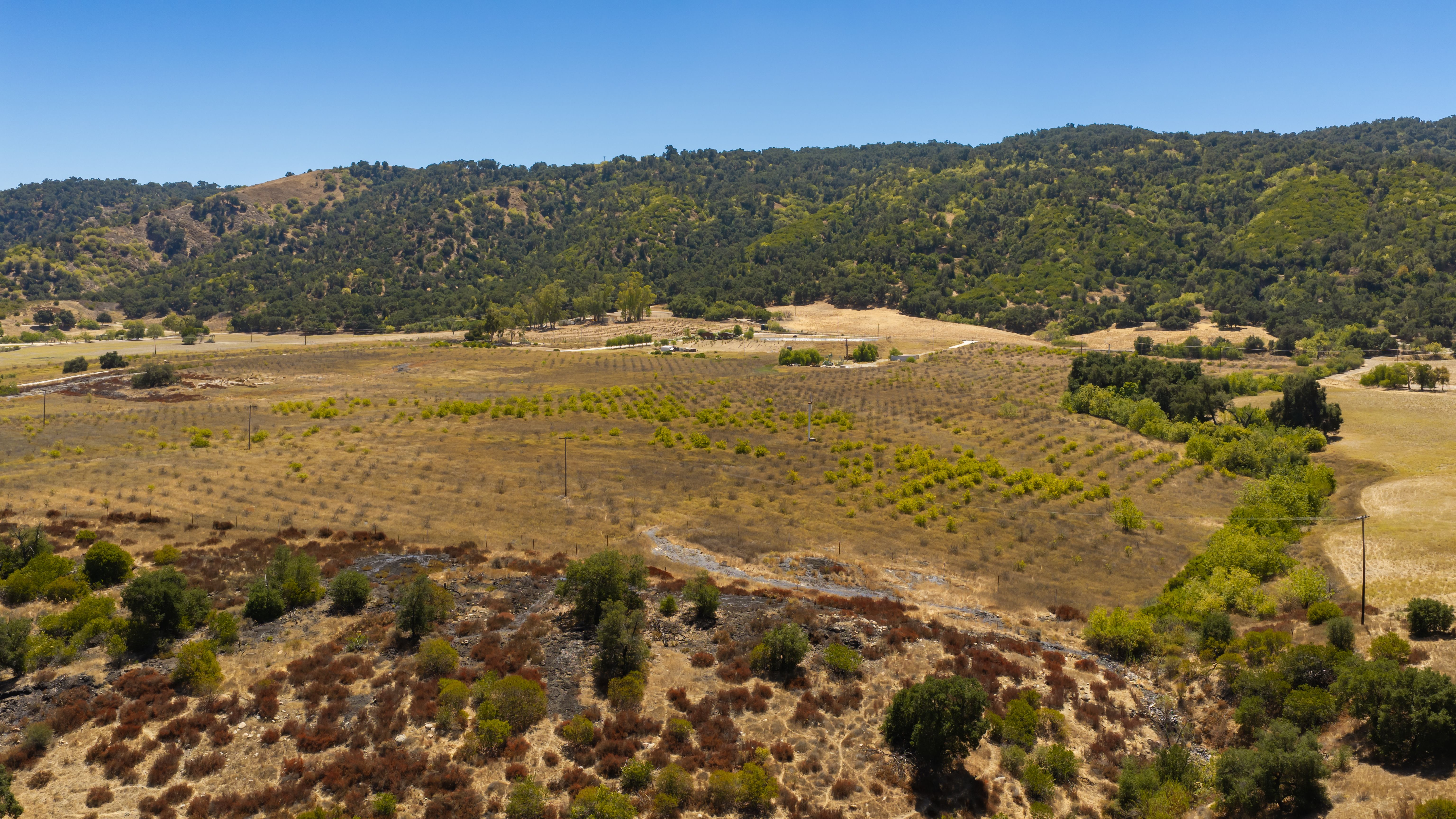  12400 Ojai Santa Paula, Ojai, CA 93023 - 物件實景