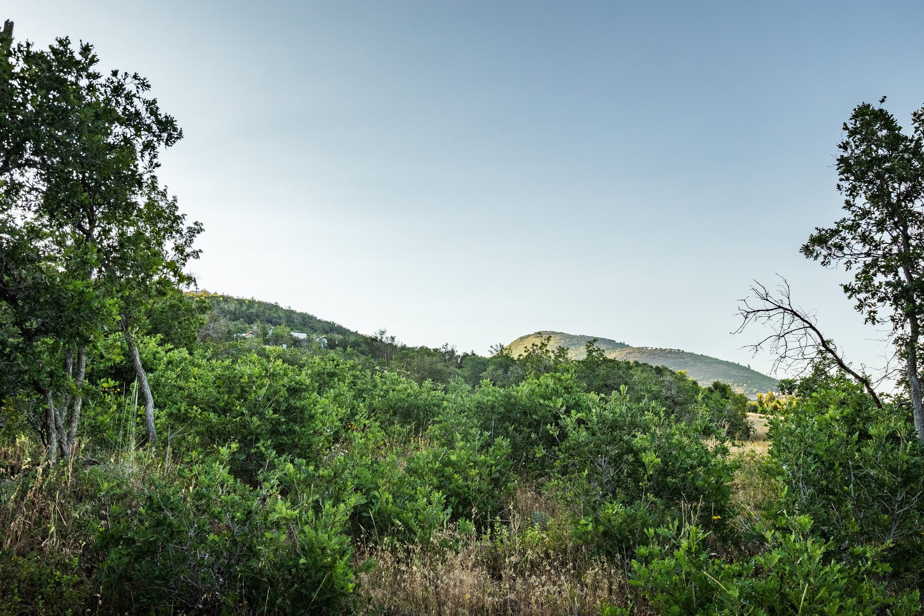  Estate Lot with Prime Ski-in, Ski-out Access - 物件實景