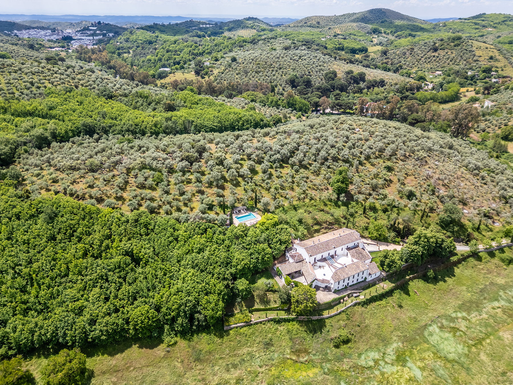  Historic, unique, and sustainable property in Seville - 物件實景