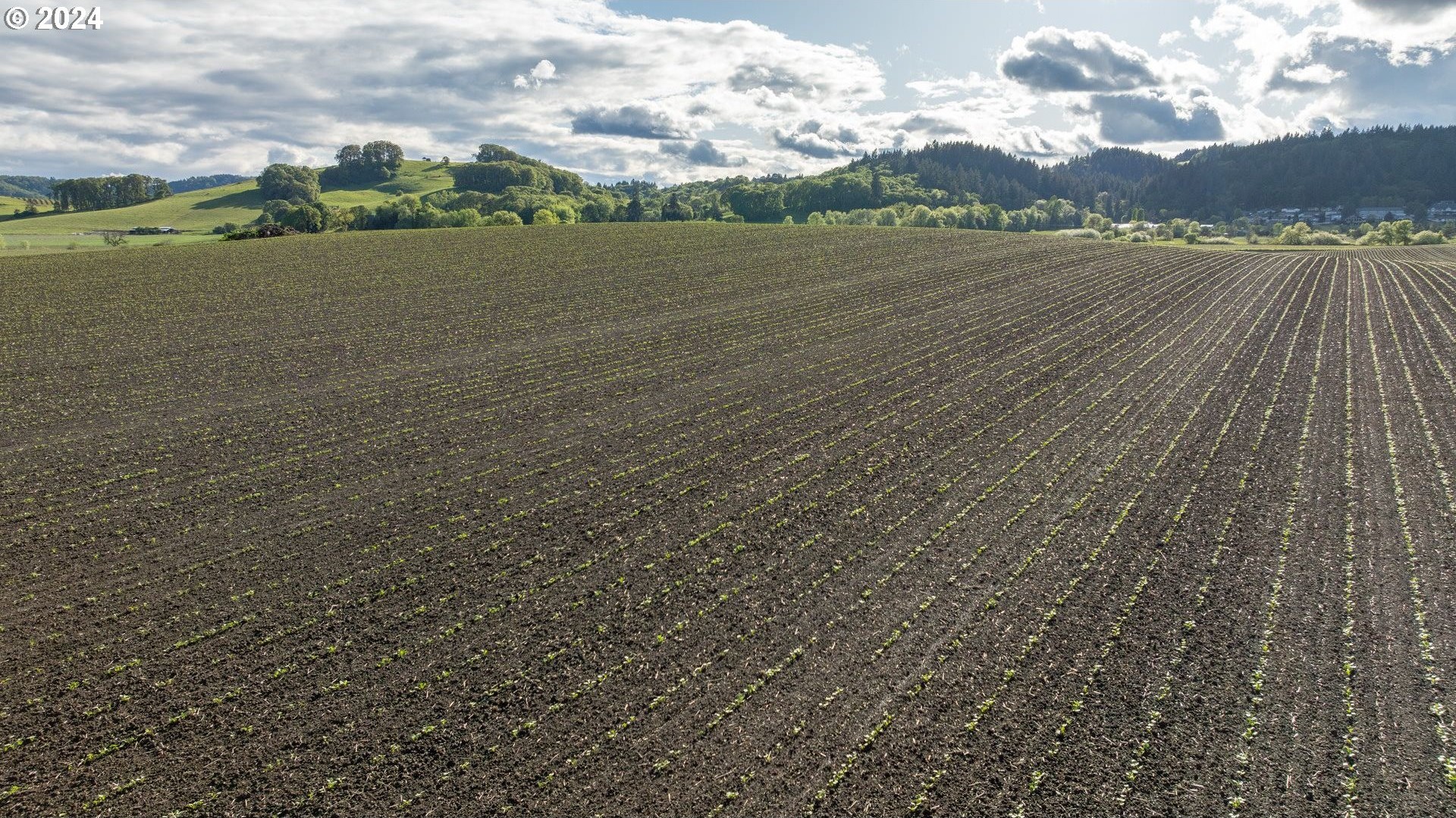 0 SW YOUNGBERG HILL RD, McMinnville, Oregon, 97128, United States, ,Land,For Sale,0 SW YOUNGBERG HILL RD,1523694