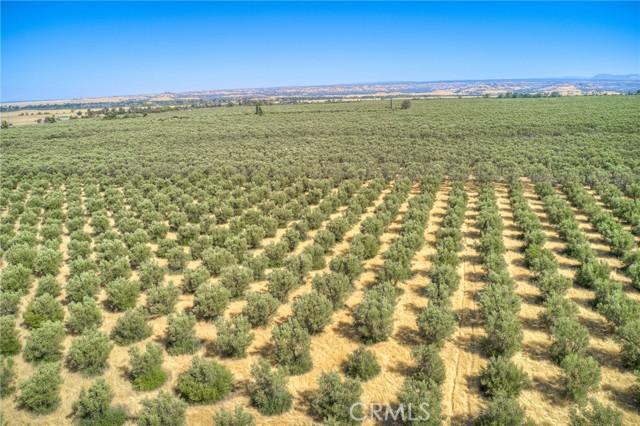 Oroville, California, 95965, United States, ,Land,For Sale,1978815