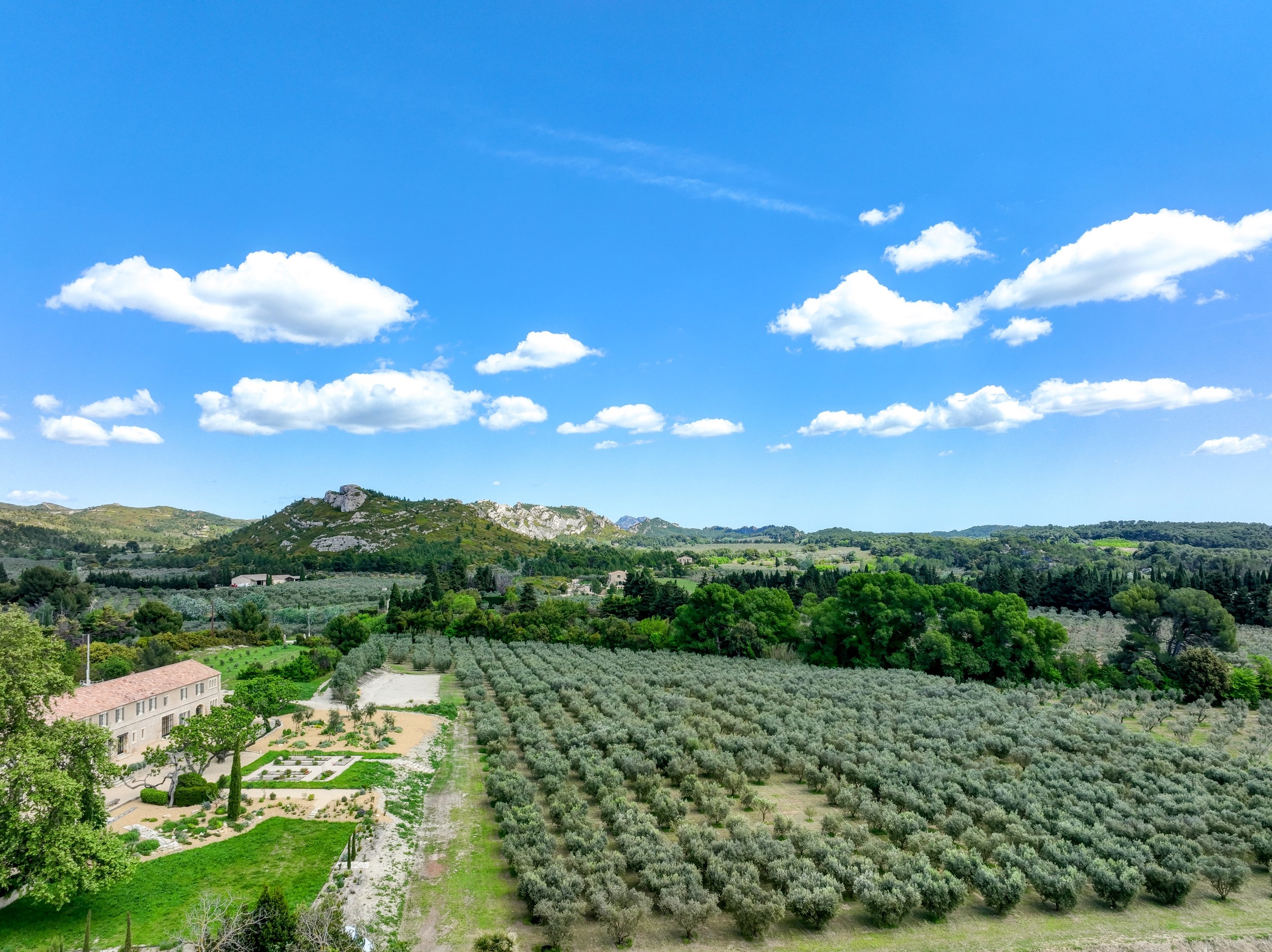  Exceptional Property in the Heart of the Alpilles - 物件實景