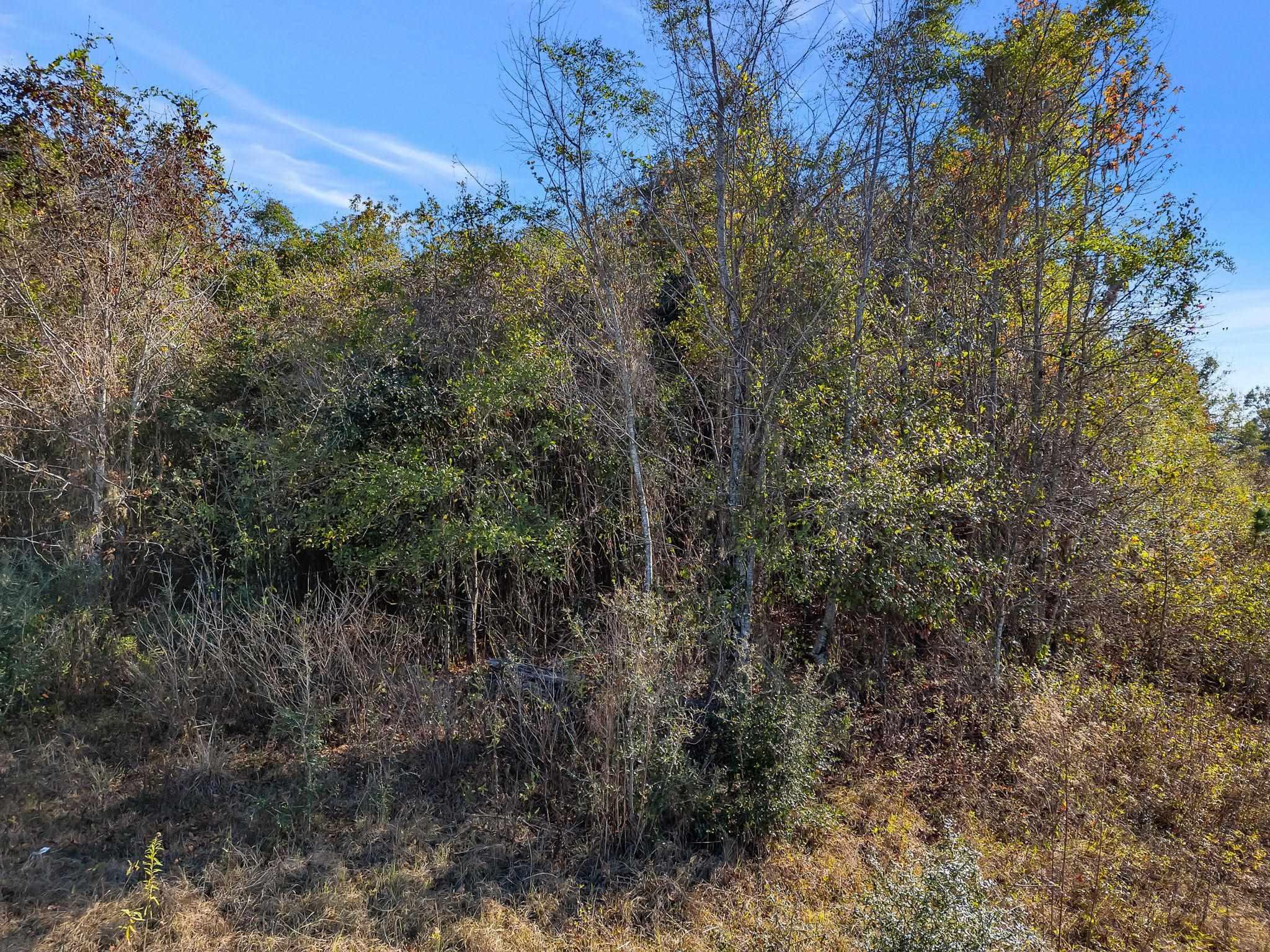 Tallahassee, Florida, 32312, United States, ,Land,For Sale,2003306