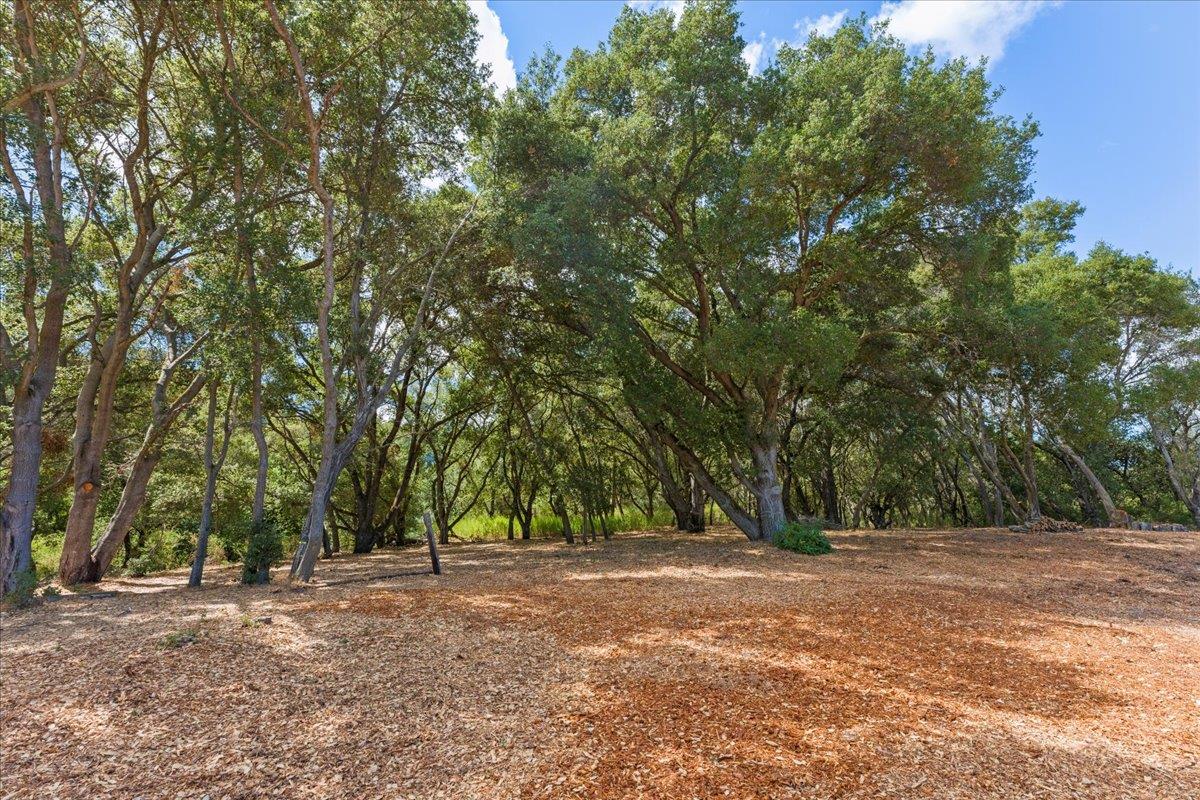 Los Gatos, California, 95030, United States, 4 Bedrooms Bedrooms, ,3 BathroomsBathrooms,Residential,For Sale,1941667