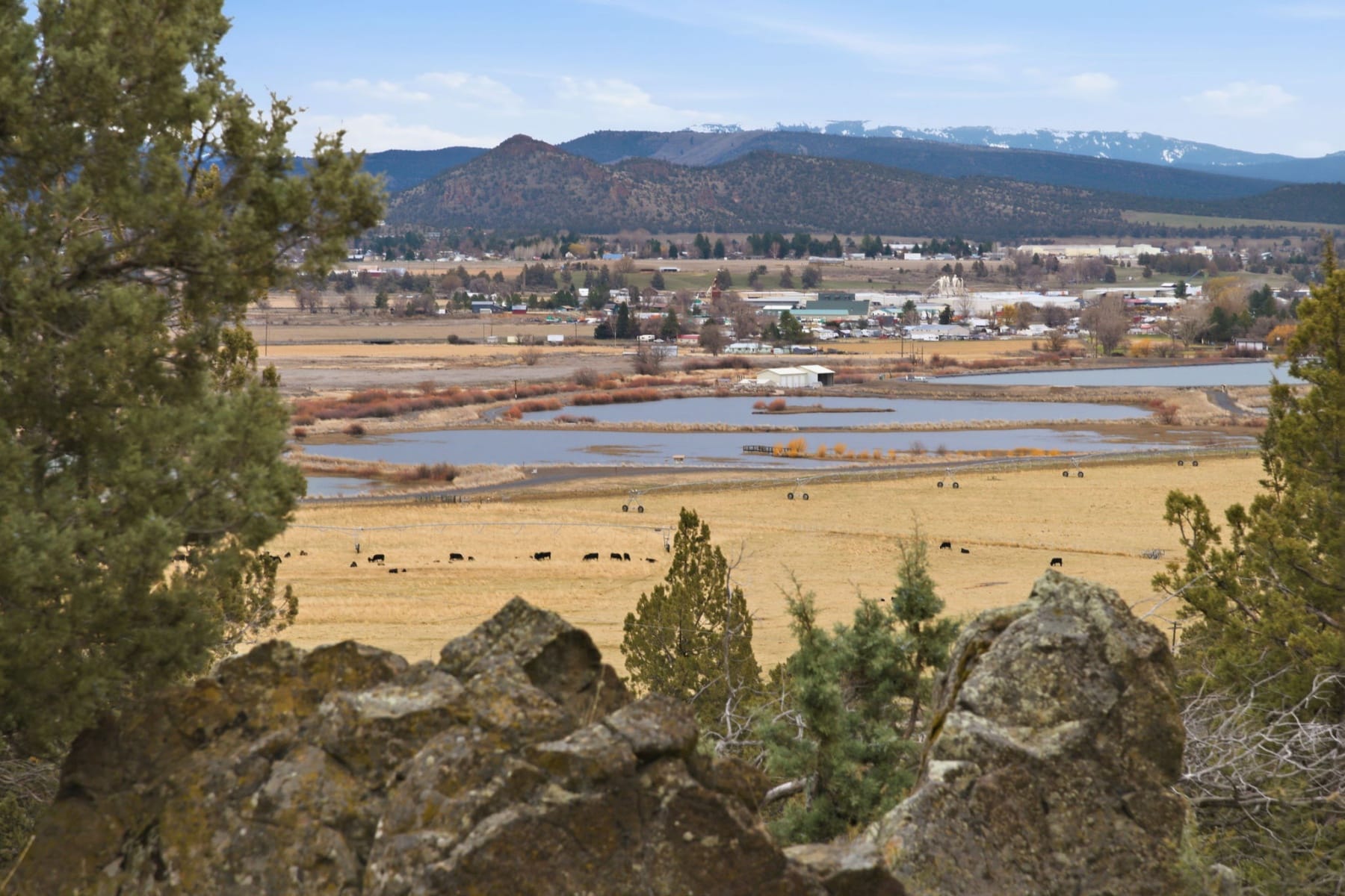 2158 NW Century Drive Prineville, OR 97754 - 物件實景