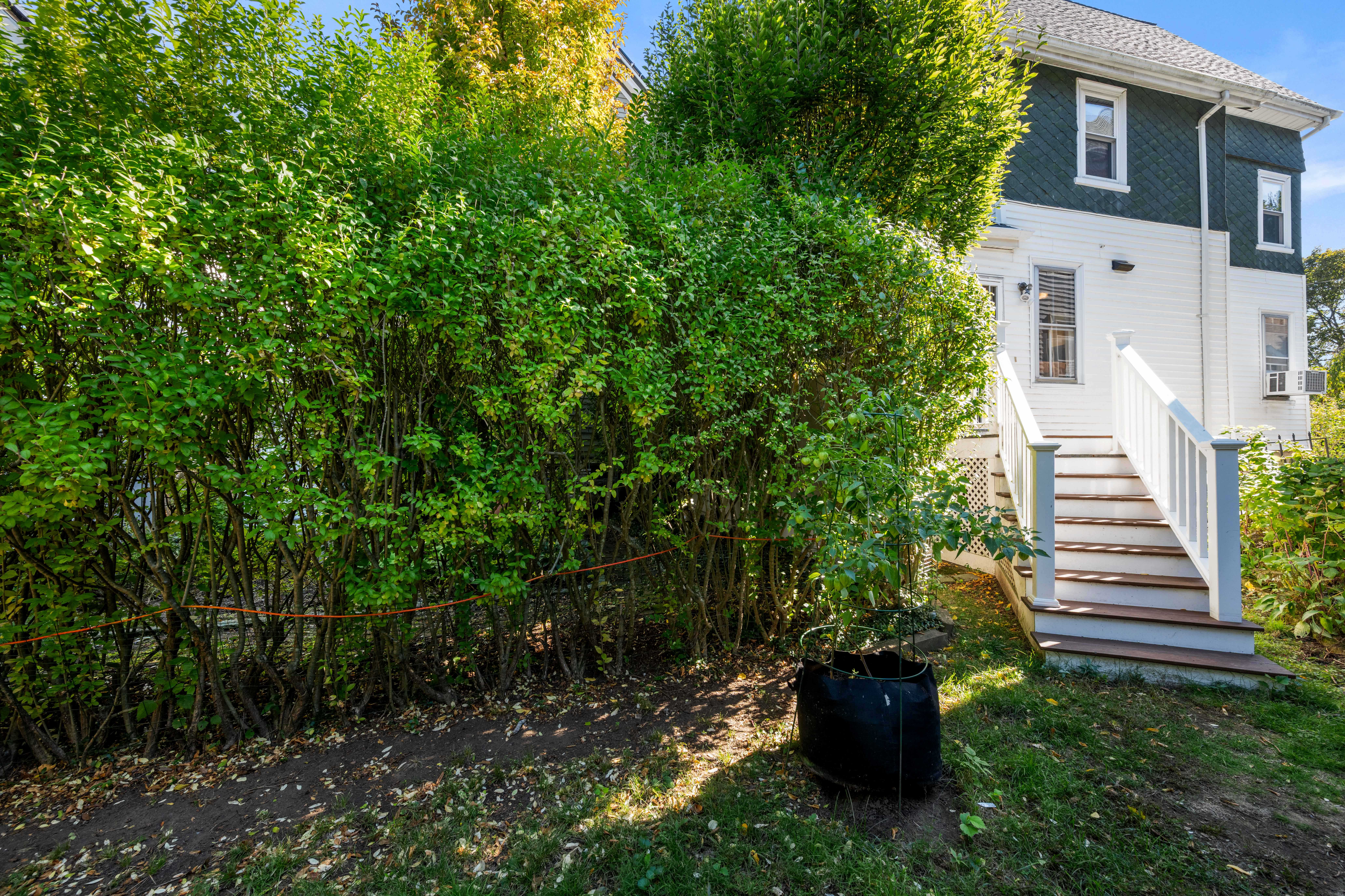  46 Sycamore Street, Boston, MA, 02131 - 物件實景