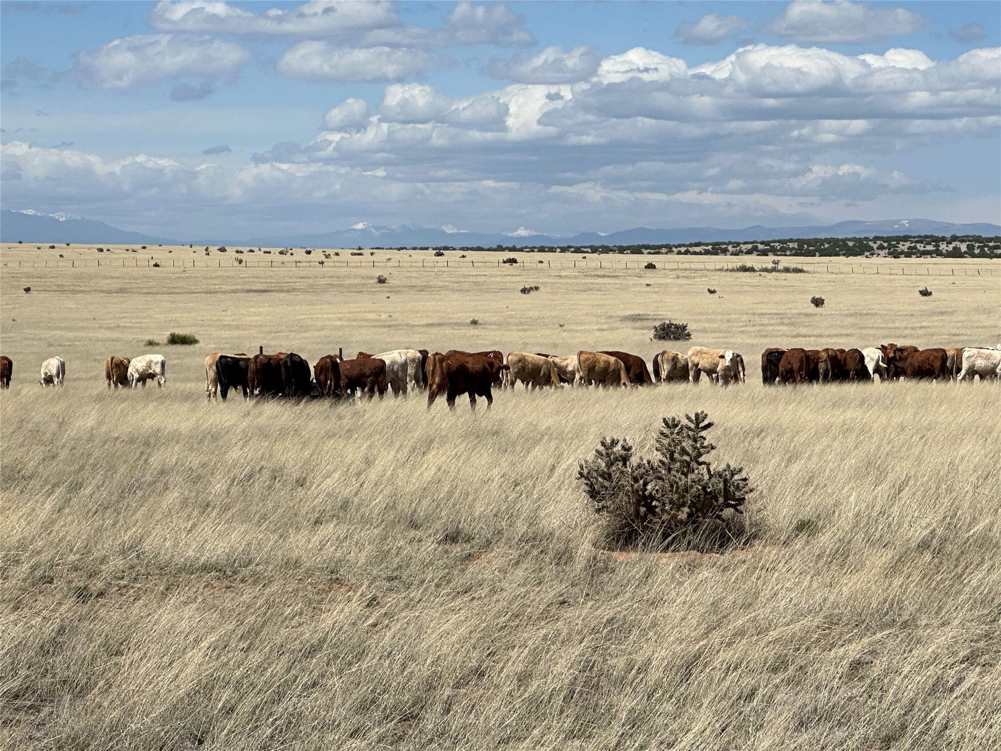  26262 US Highway 285 - 物件實景
