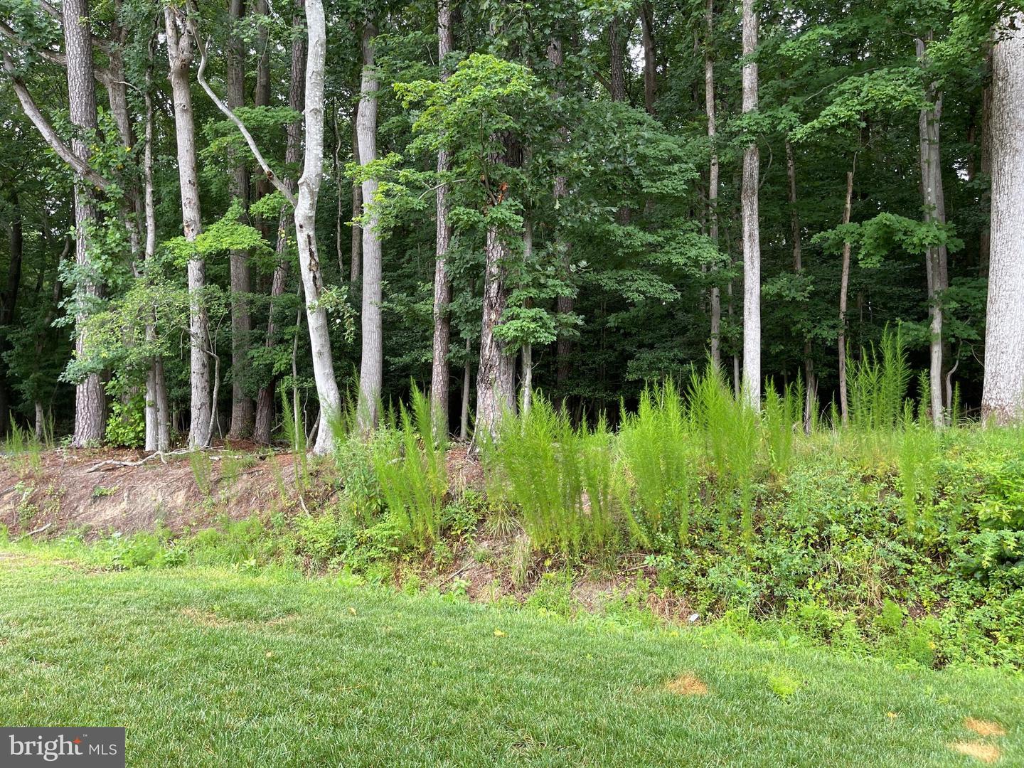 Berlin, Maryland, 21811, United States, 3 Bedrooms Bedrooms, ,3 BathroomsBathrooms,Residential,For Sale,1917414