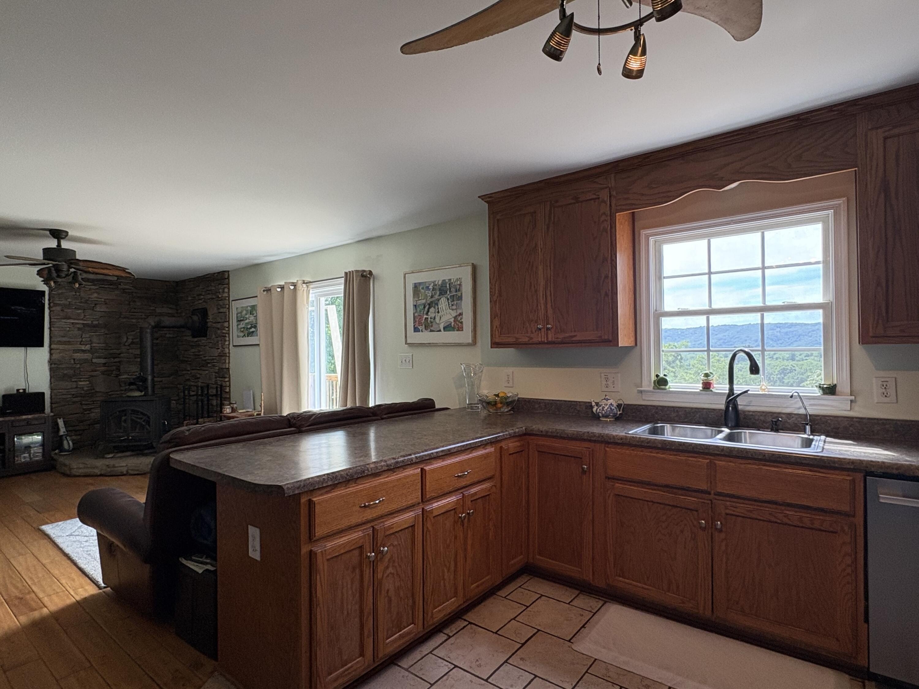 Deer Point Rd, Frankford, WV 24938 #1