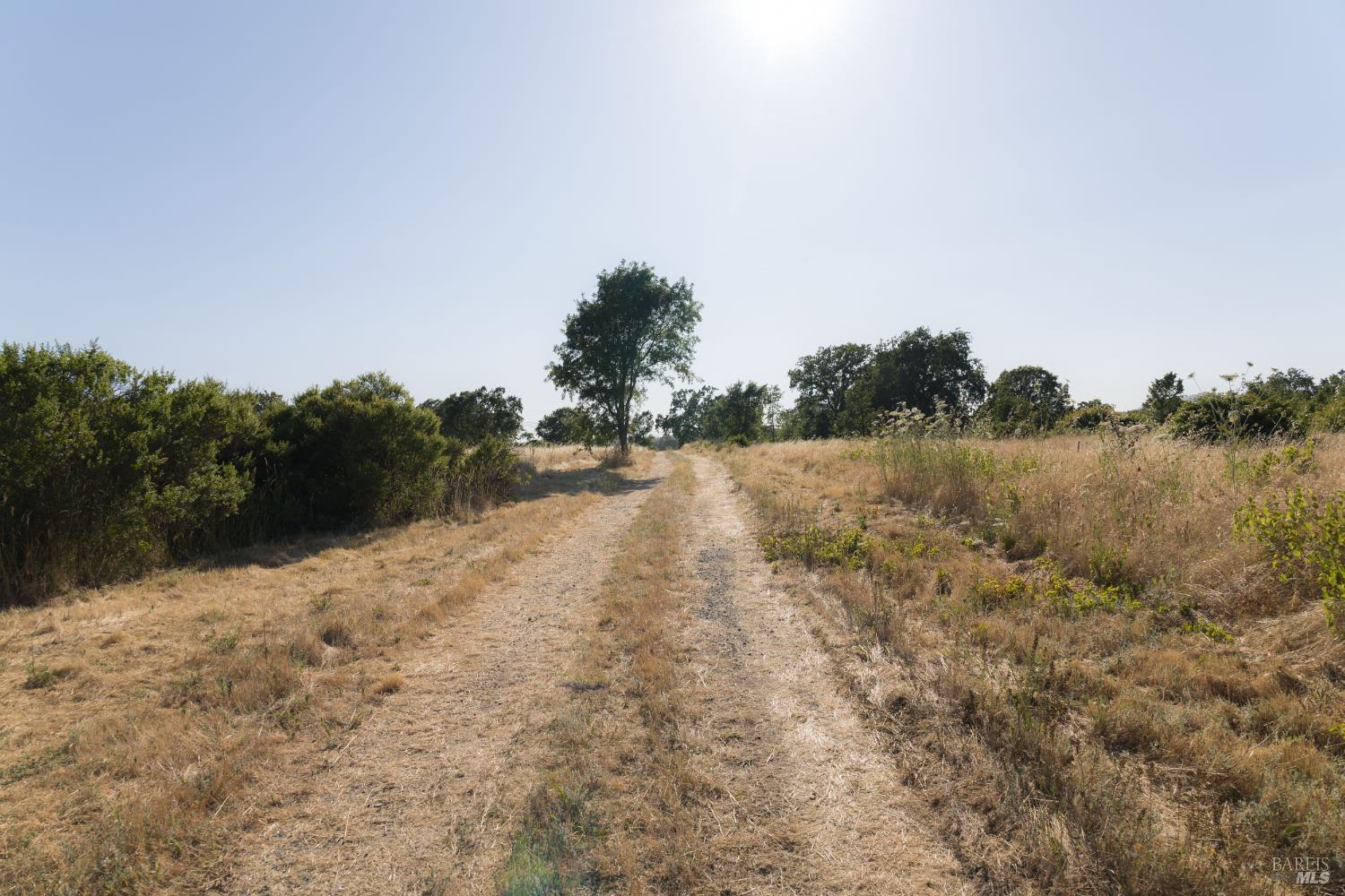 Santa Rosa, California, 95401, United States, ,Land,For Sale,1975018