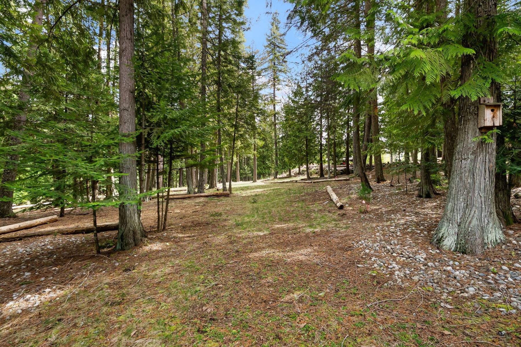  Tree Farm & Home on 6+ Acres - 物件實景