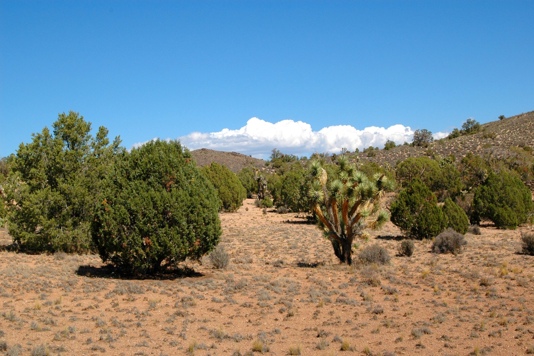  5838 E Diamond Bar Road ¦ Meadview, AZ - 物件實景