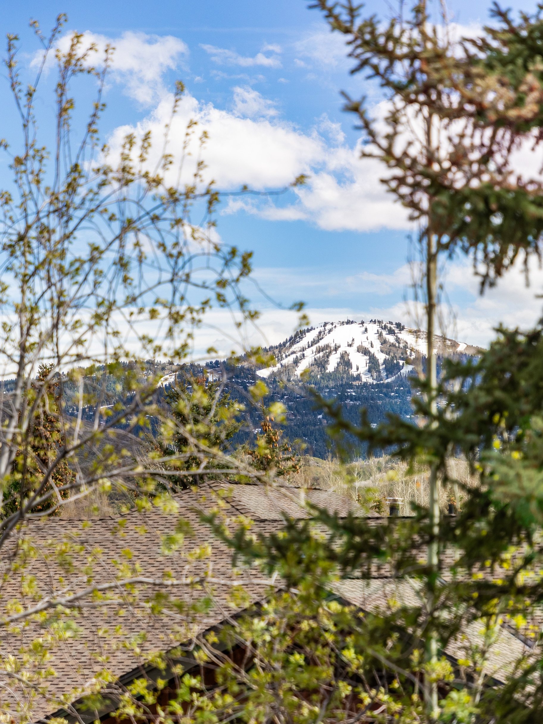  Light Filled Open Floor Plan with Great Outdoor Space - 物件實景