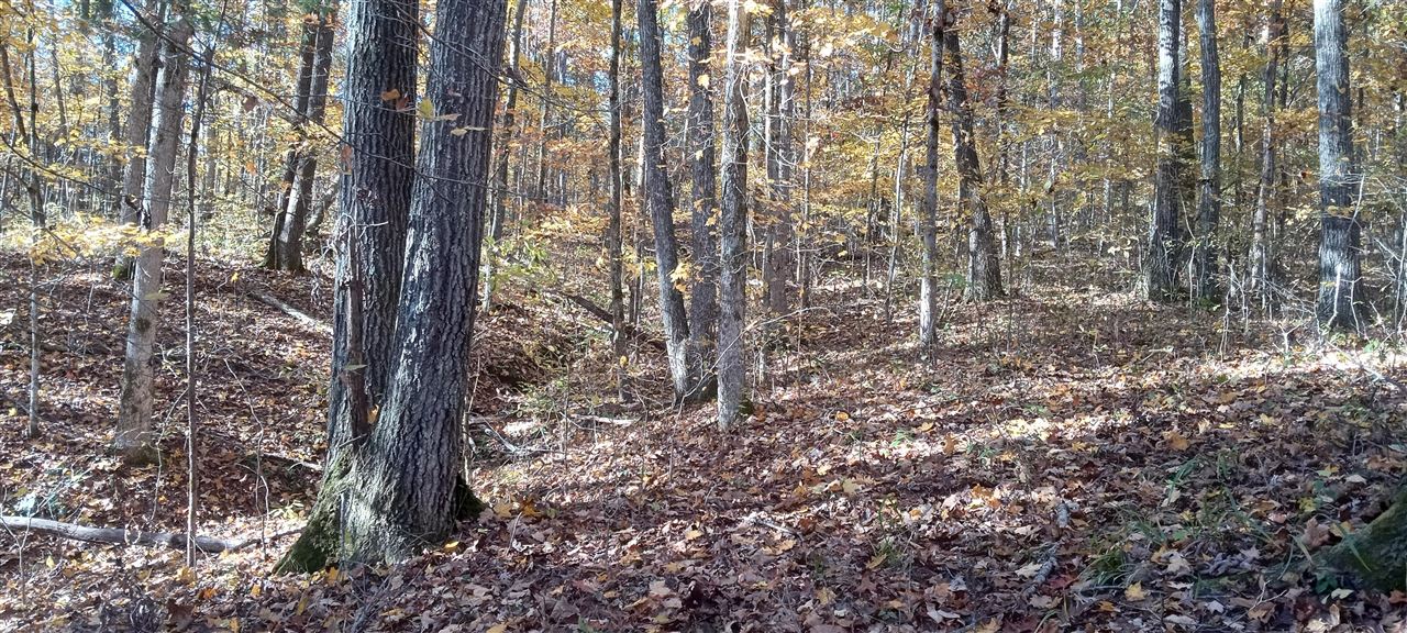 Willow Shade, Kentucky, 42166, United States, 3 Bedrooms Bedrooms, ,2 BathroomsBathrooms,Residential,For Sale,1991903