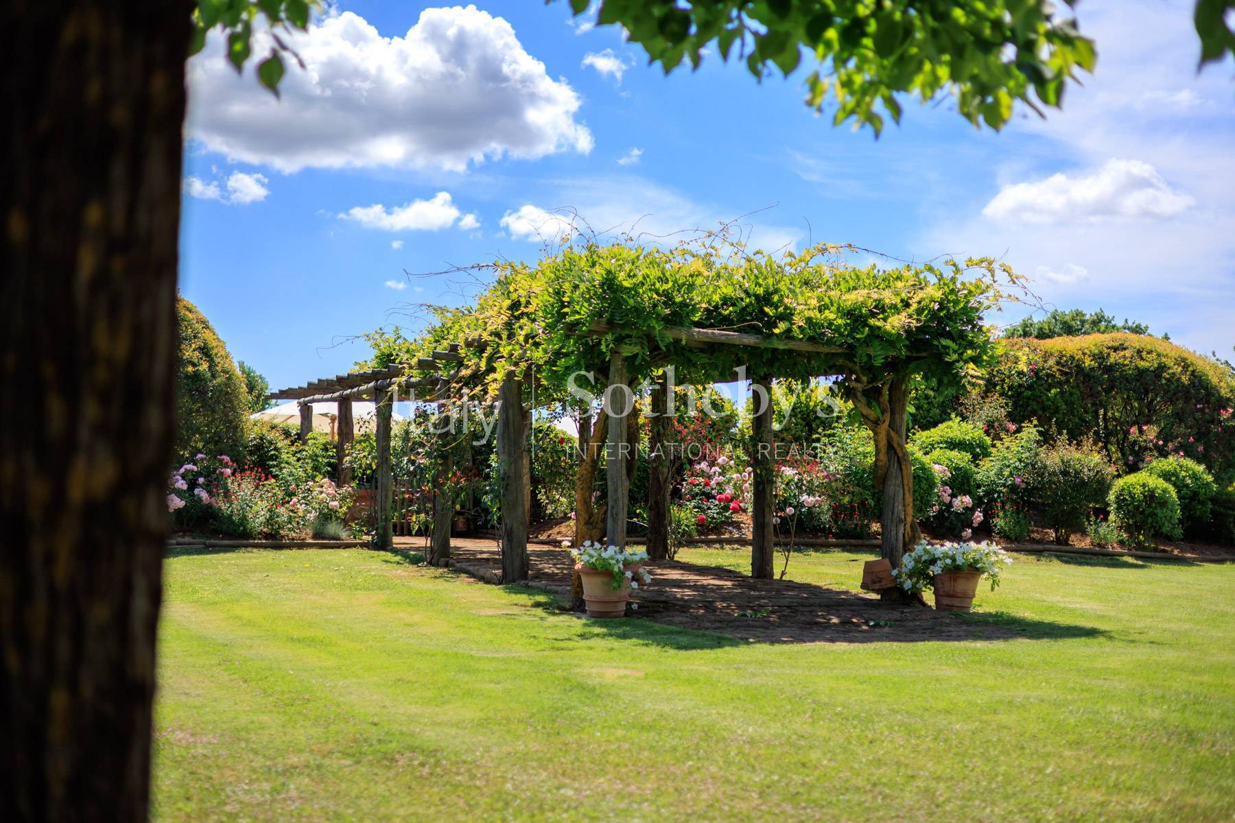 Spectacular estate close to the thermal baths and golf of Saturnia - 物件實景