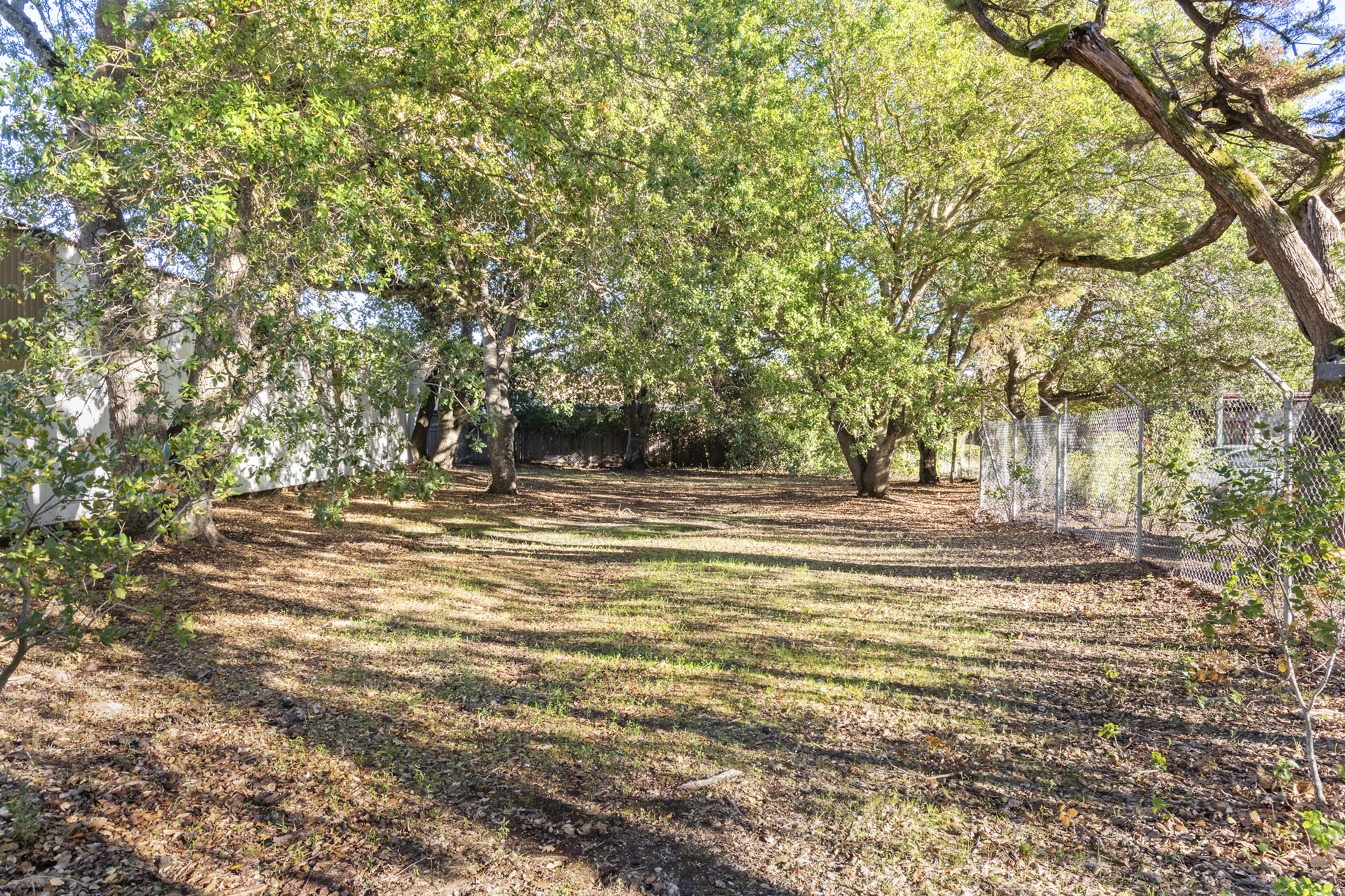  Entitled 31 Unit Luxury Condo Development Near Downtown Sonoma Plaza - 物件實景