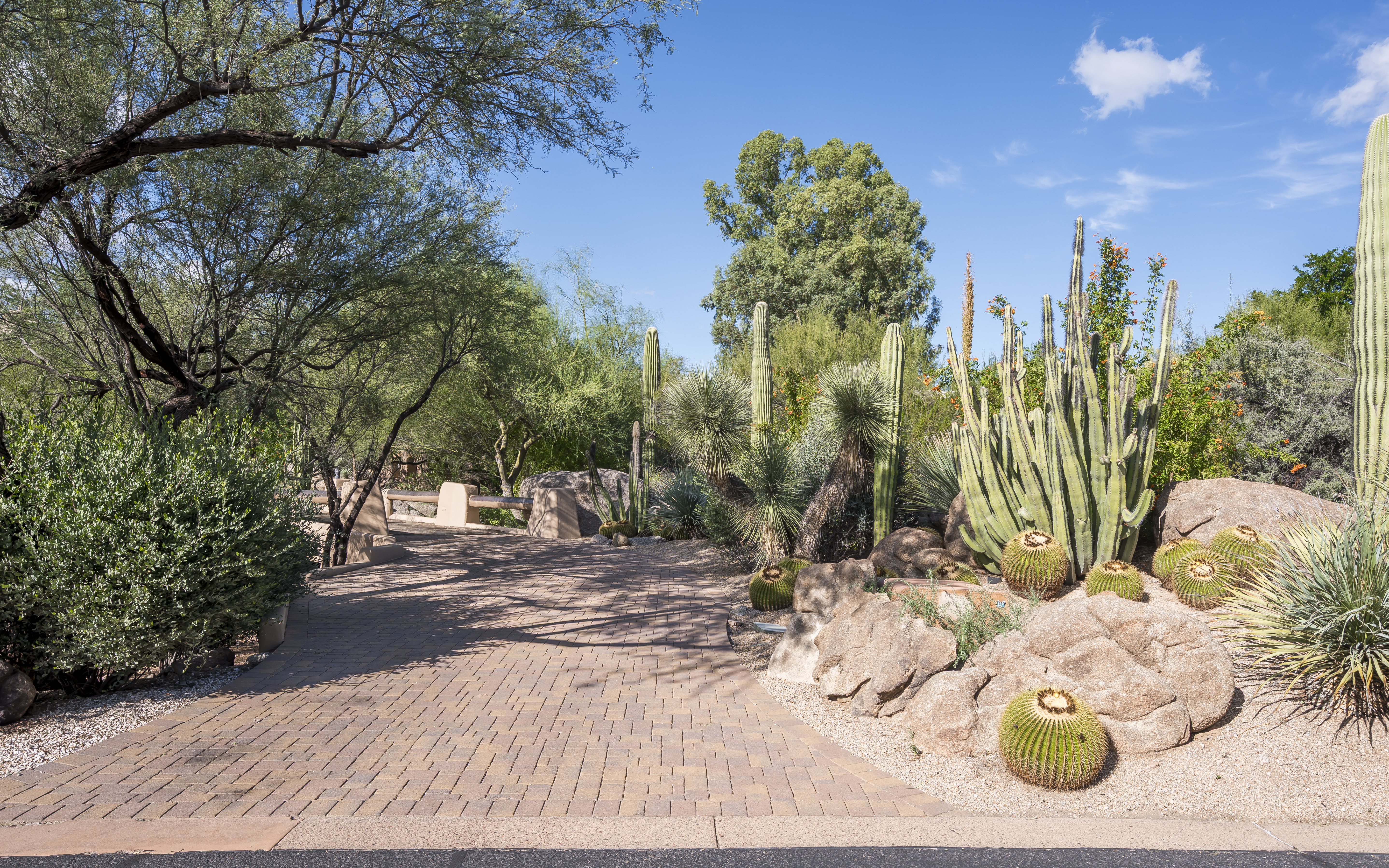  7416 E Arroyo Hondo Road¦Scottsdale, AZ - 物件實景