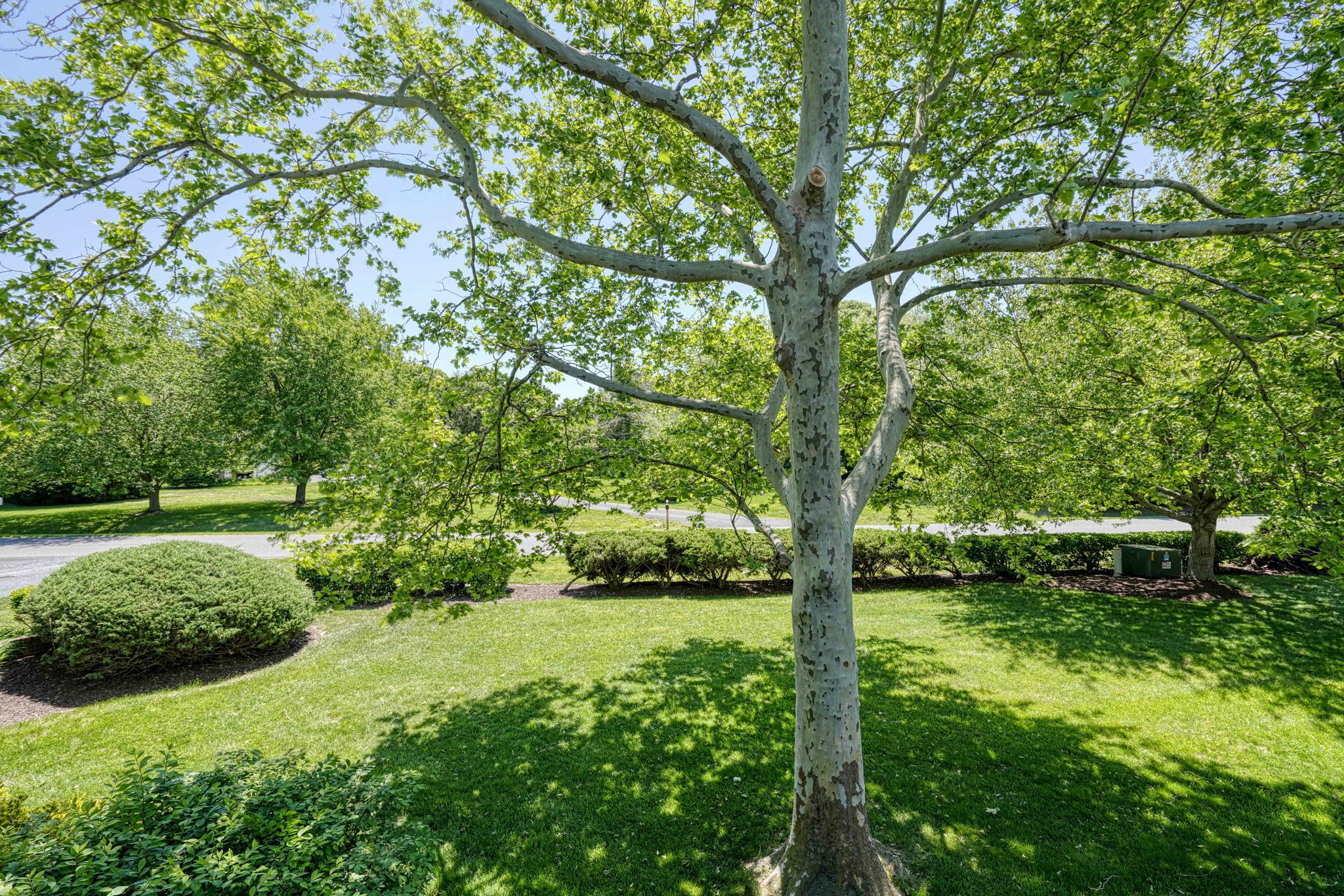  24700 Deepwater Point, Saint Michaels, MD, 21663 - 物件實景