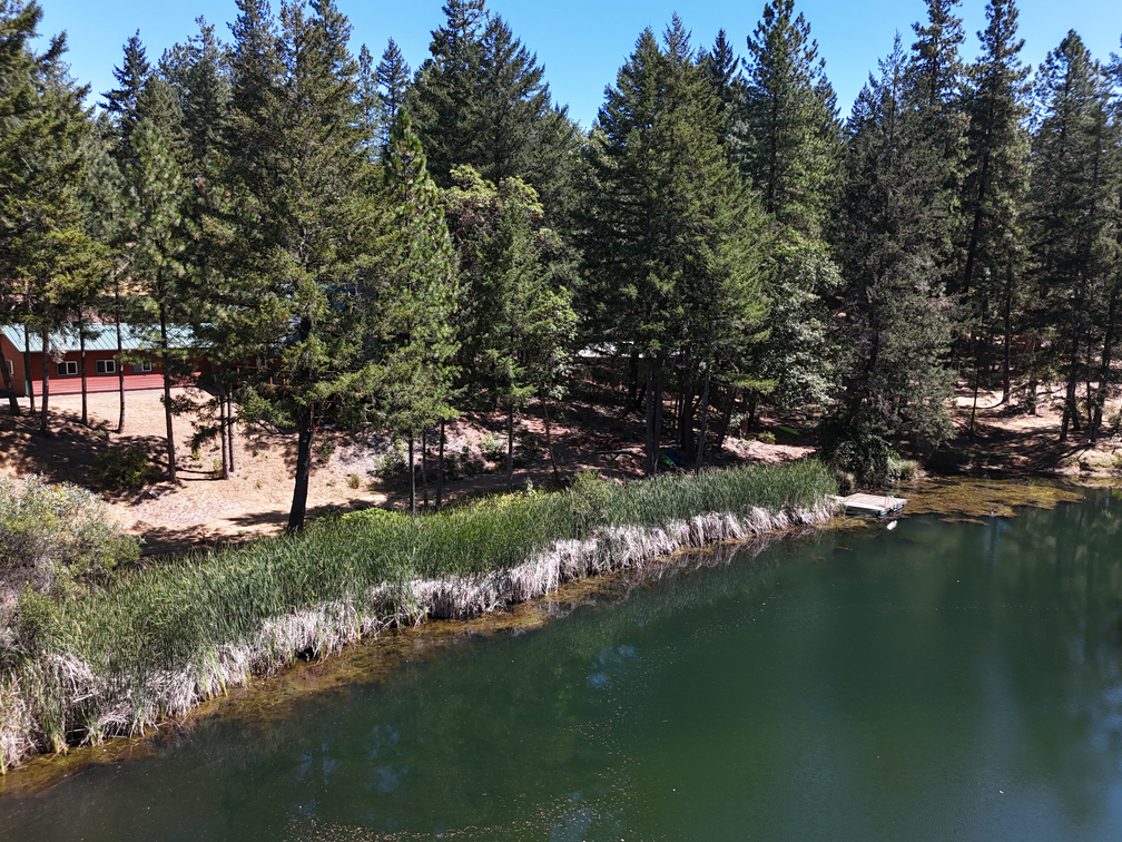 Willits, California, 95490, United States, 2 Bedrooms Bedrooms, ,2 BathroomsBathrooms,Residential,For Sale,1943077
