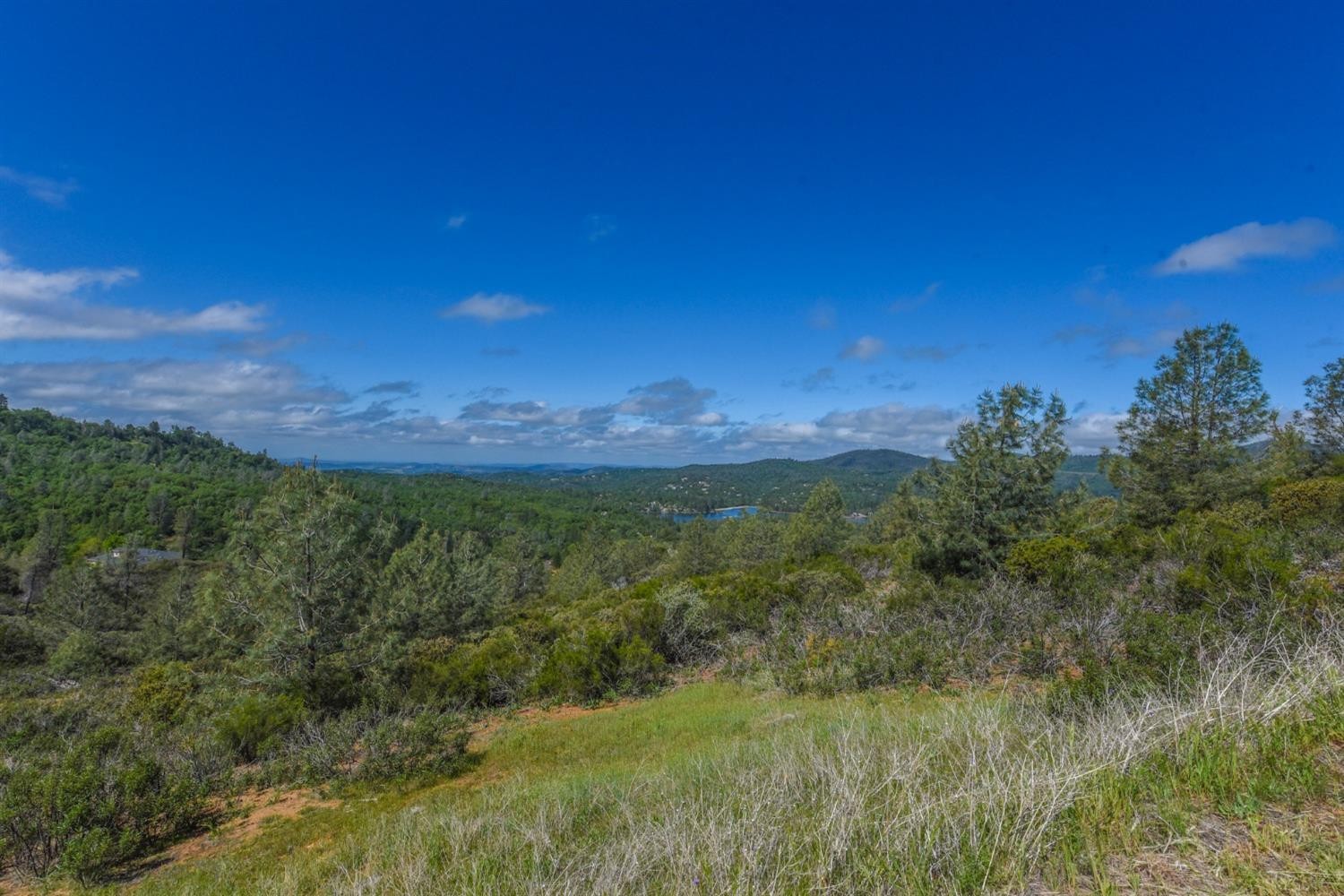 15880 Parkridge Avenue, Sonora, California, 95370, United States, ,Land,For Sale,15880 Parkridge Avenue,1432532