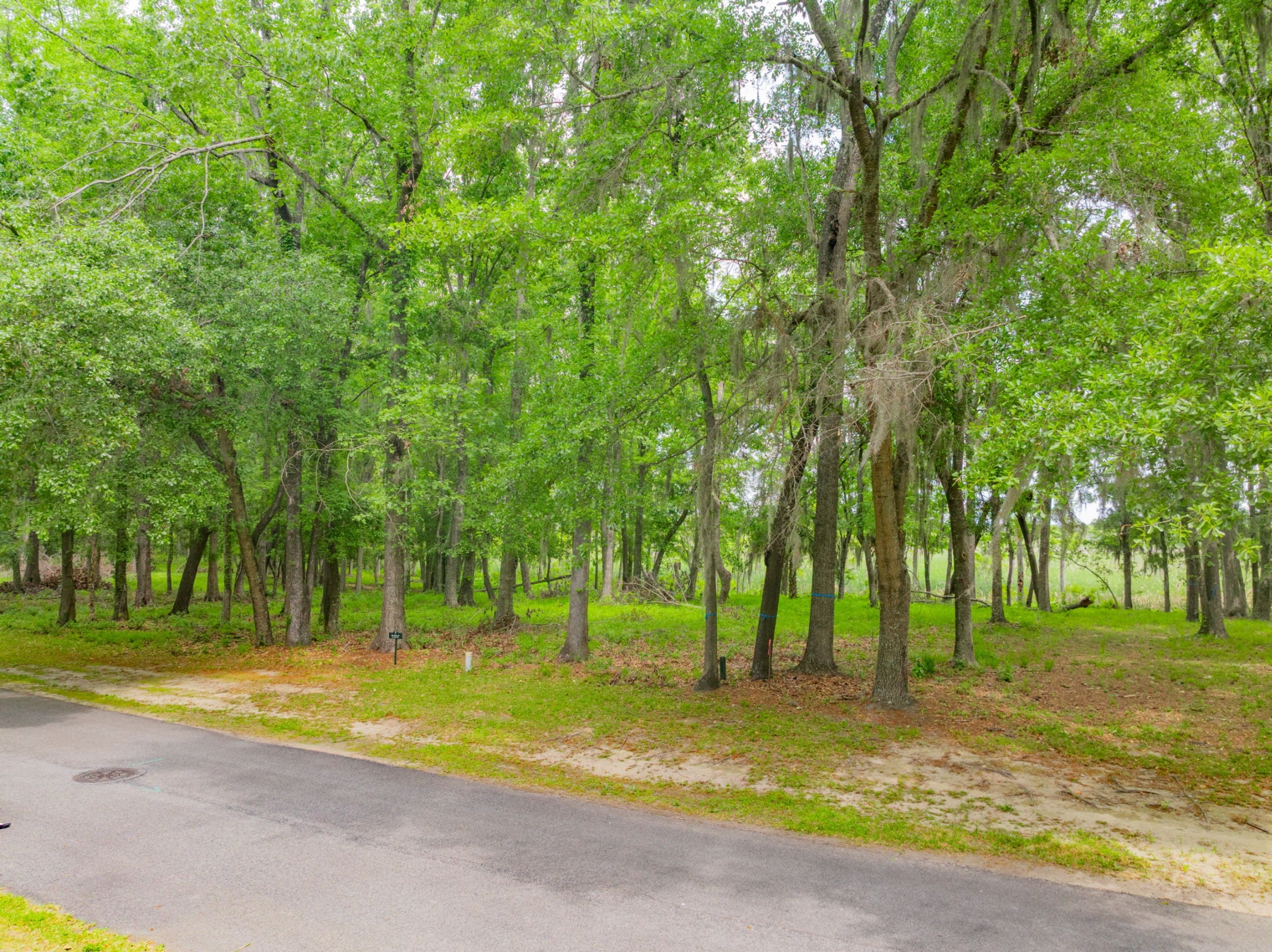  800 Silk Hope Drive, Richmond Hill - 物件實景