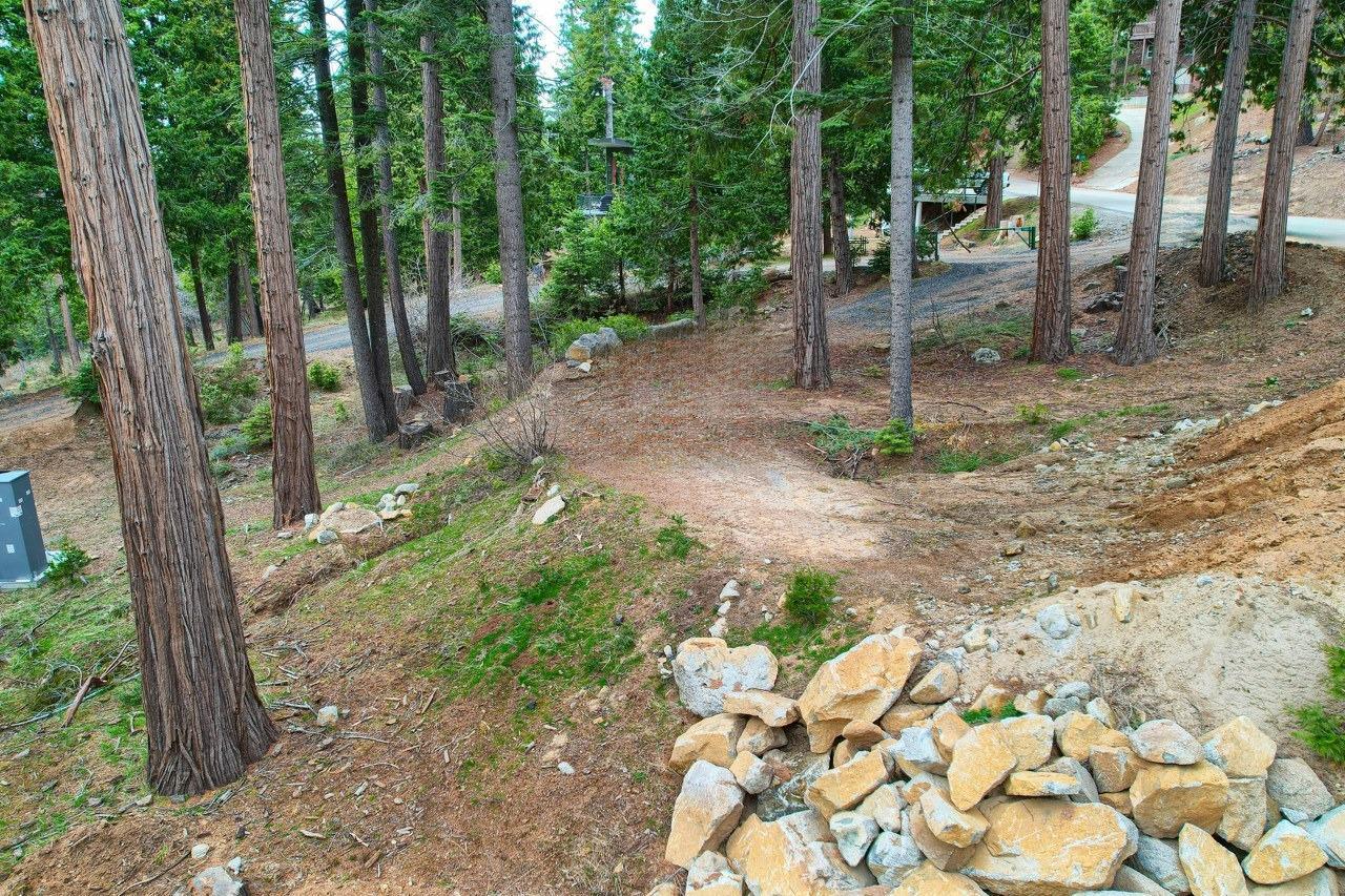 Yosemite, California, 95389, United States, ,Residential,For Sale,1791701