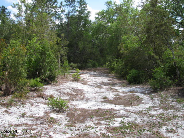 DeLeon Springs, Florida, 32130, United States, ,Land,For Sale,1978390