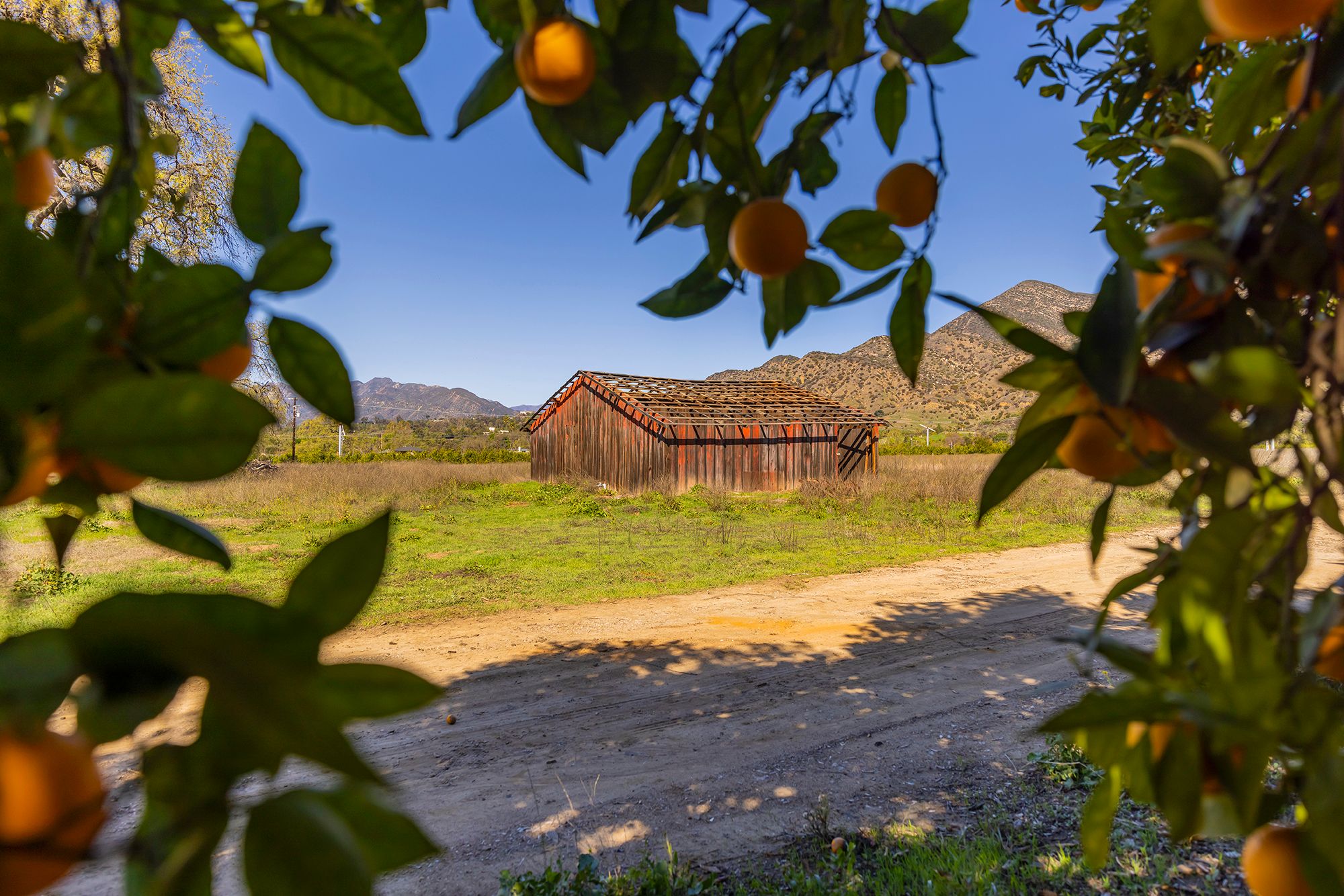  1201 Grand Avenue, Ojai, CA 93023 - 物件實景