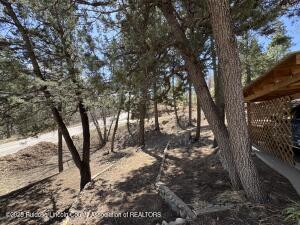 Ruidoso, New Mexico, 88345, United States, 3 Bedrooms Bedrooms, ,3 BathroomsBathrooms,Residential,For Sale,1770584