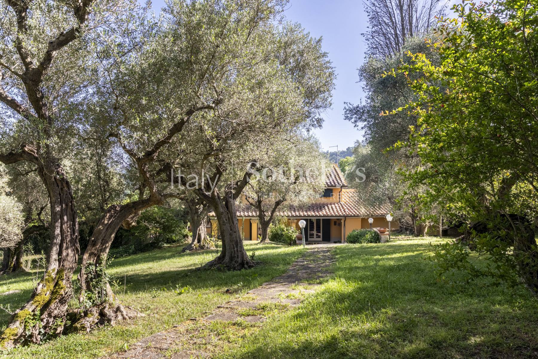  Villa with Stunning Garden Just Outside Rome - 物件實景