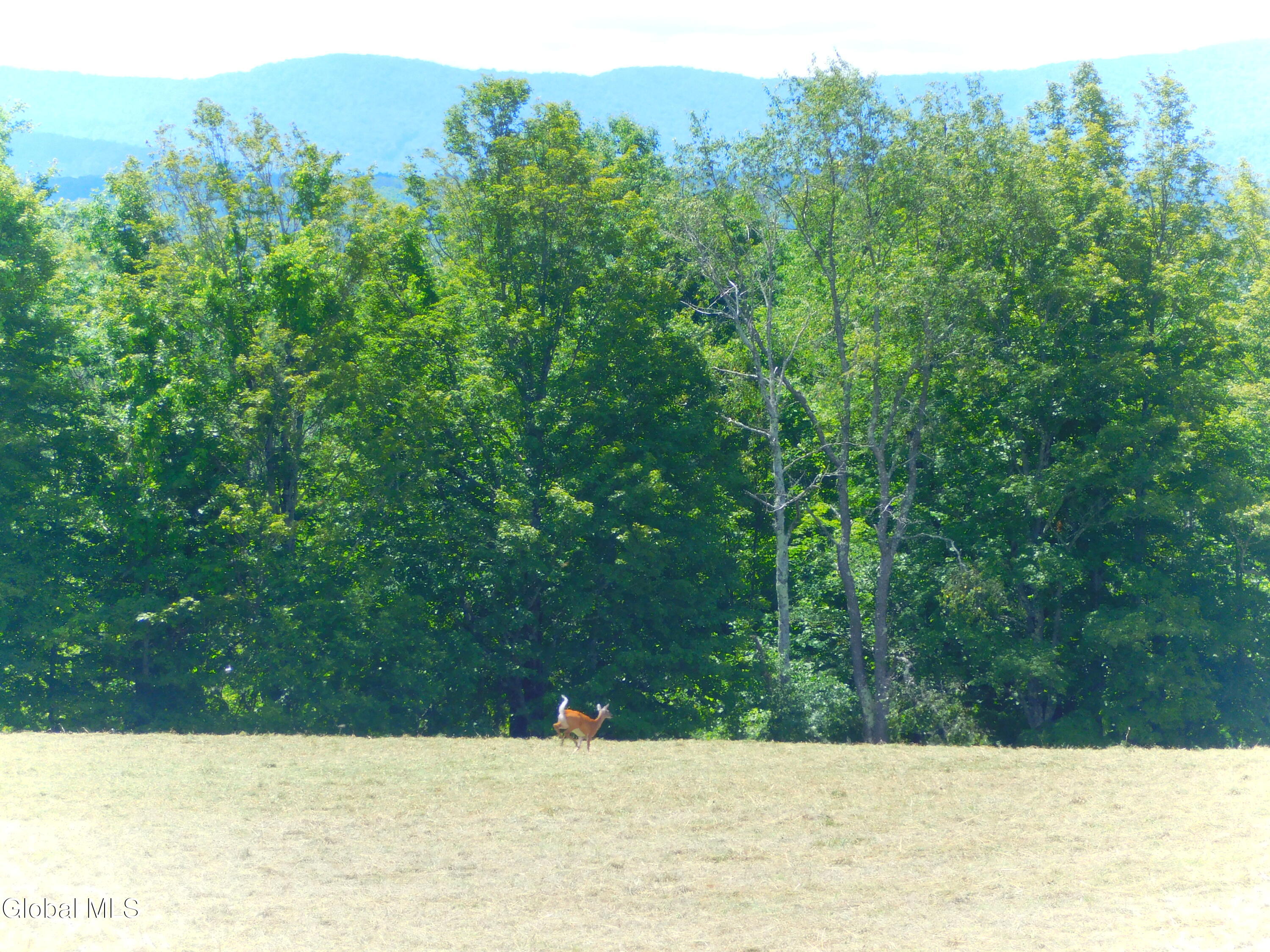 Broome, New York, 12122, United States, 4 Bedrooms Bedrooms, ,3 BathroomsBathrooms,Residential,For Sale,1979898