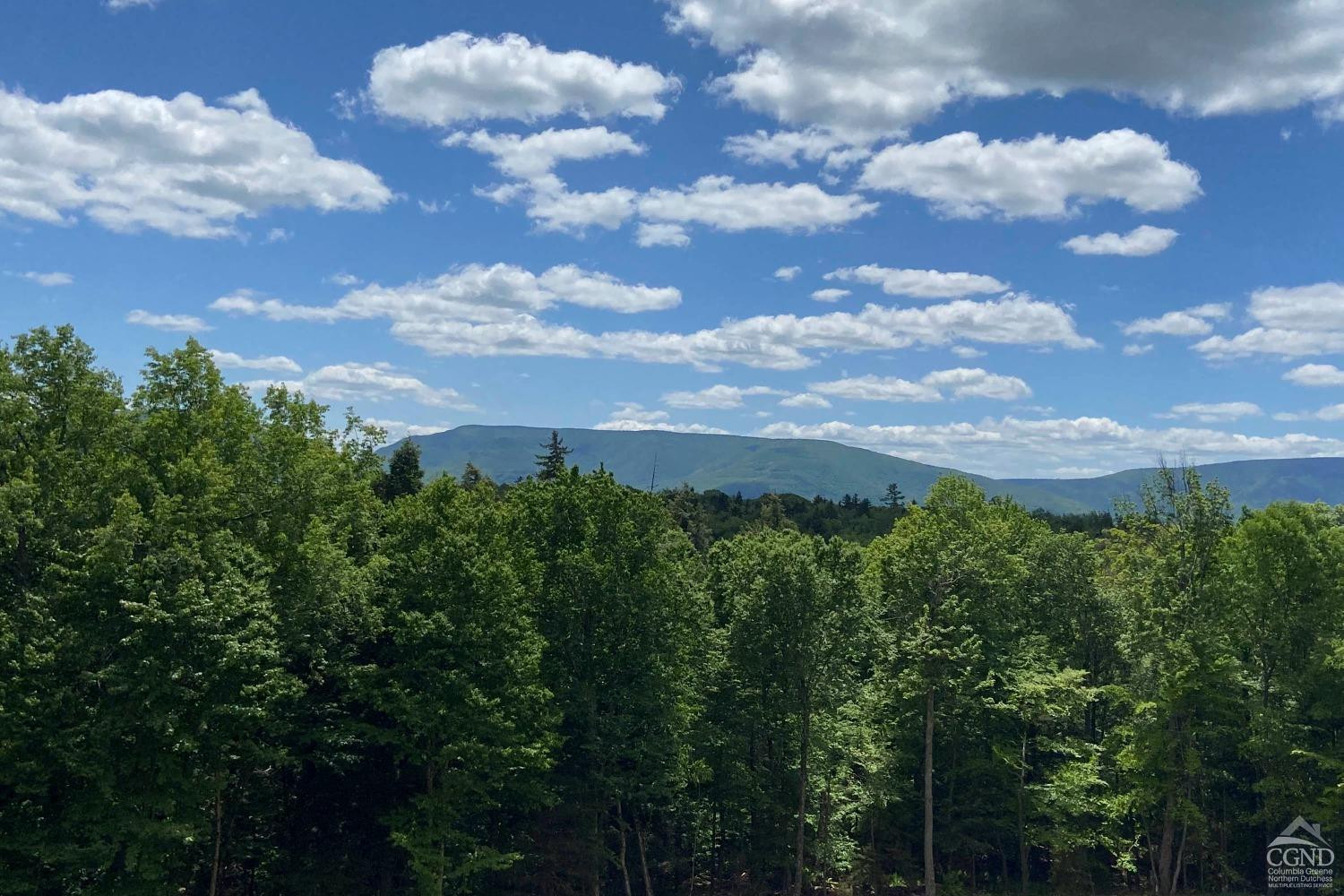 Tannersville, New York, 12485, United States, 6 Bedrooms Bedrooms, ,5 BathroomsBathrooms,Residential,For Sale,1947119