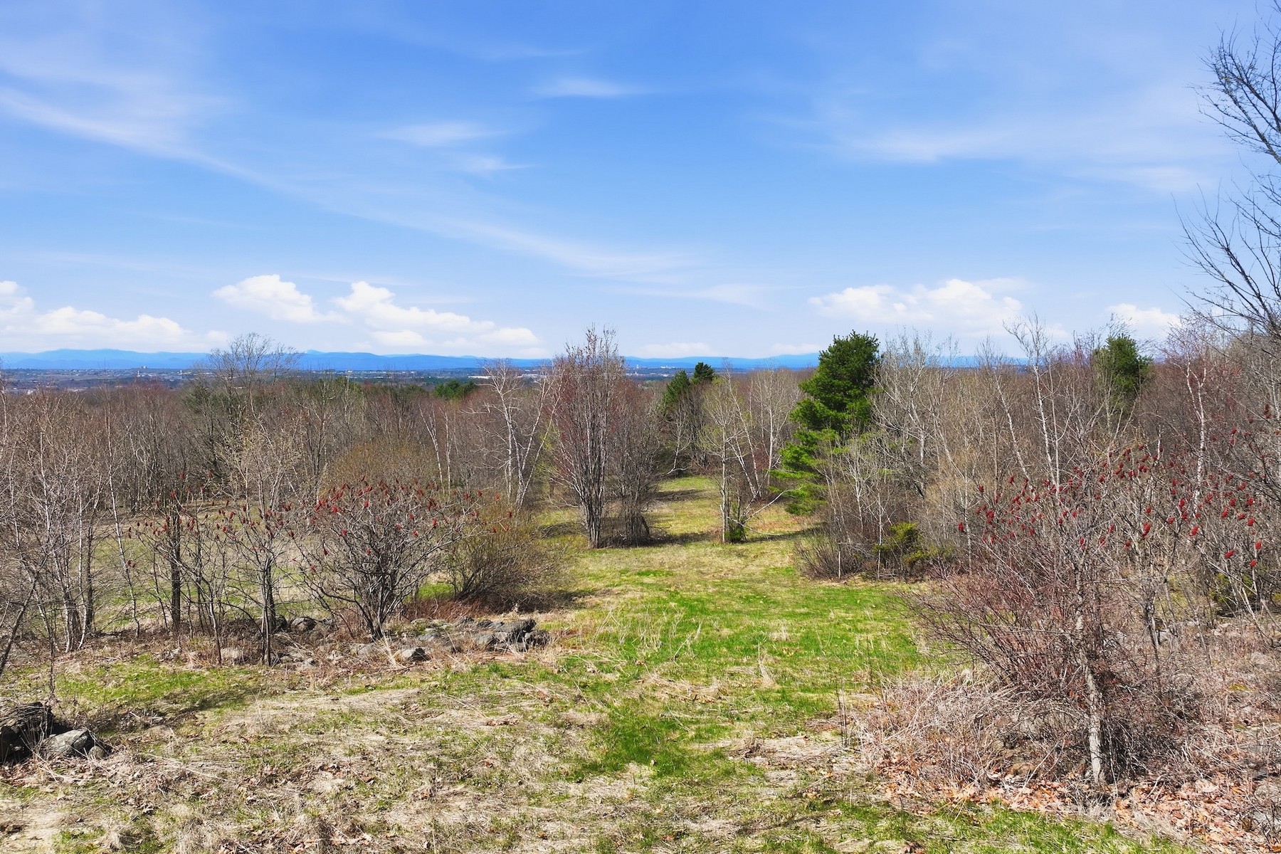  351 Ledgewood Drive - 物件實景