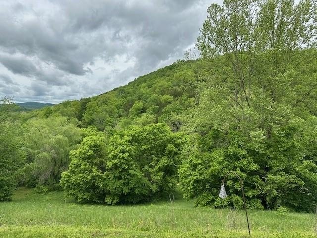Green Forest, Arkansas, 72638, United States, 2 Bedrooms Bedrooms, ,2 BathroomsBathrooms,Residential,For Sale,1921534