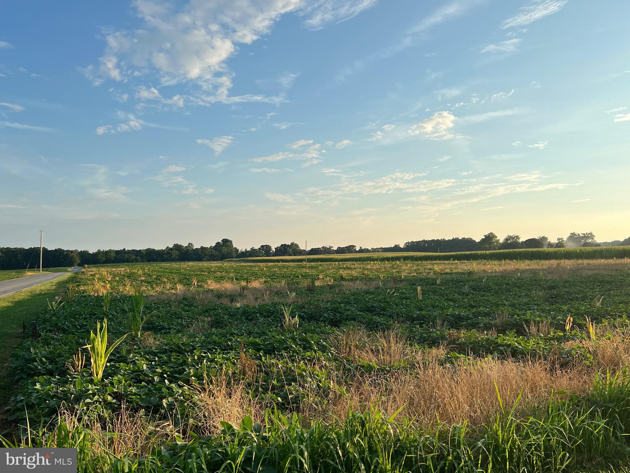 Leonardtown, Maryland, 20650, United States, ,Residential,For Sale,1977762