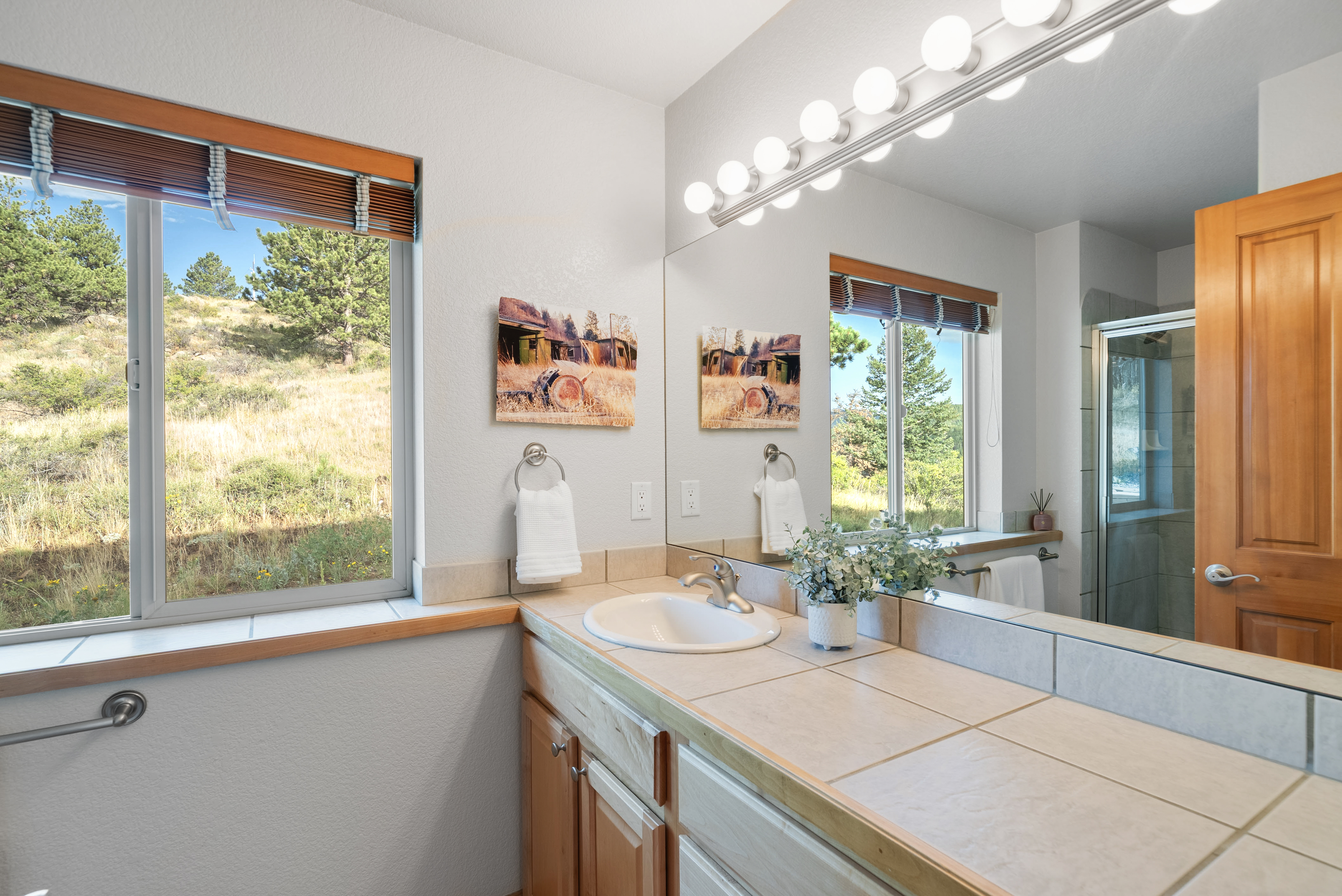  131 Hurricane Hill Dr, Nederland, CO, 80466 - 物件實景