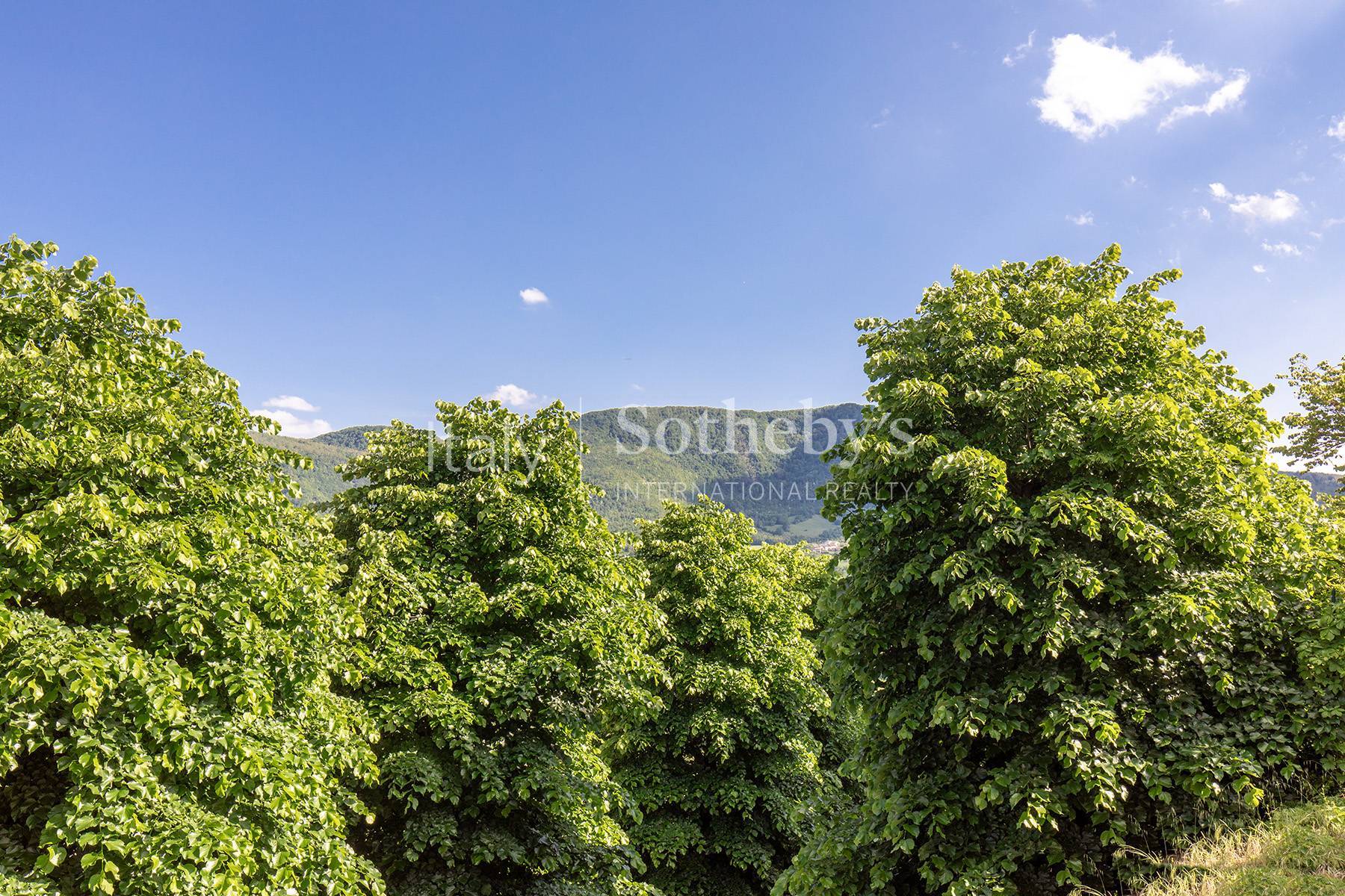  Elegant Townhouse with View - 物件實景