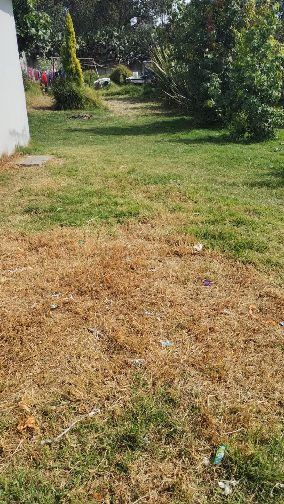 GONZALEZ Y PICHARDO, Toluca, Estado de méxico, 50120, Mexico, 4 Bedrooms Bedrooms, ,1 BathroomBathrooms,Residential,For Sale,GONZALEZ Y PICHARDO,1623909