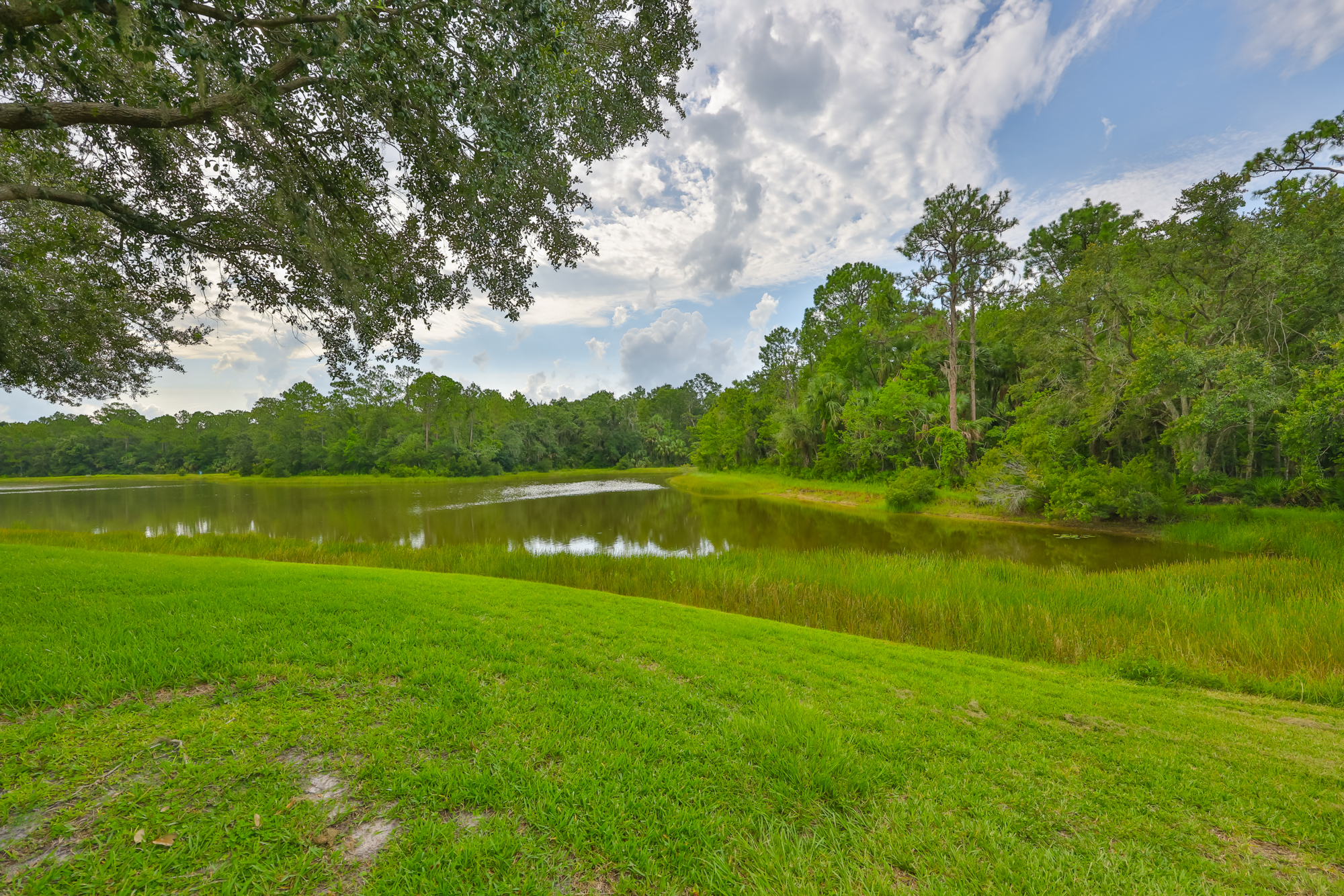 Tampa, Florida, 33647, United States, 4 Bedrooms Bedrooms, ,3 BathroomsBathrooms,Residential,For Sale,1982962