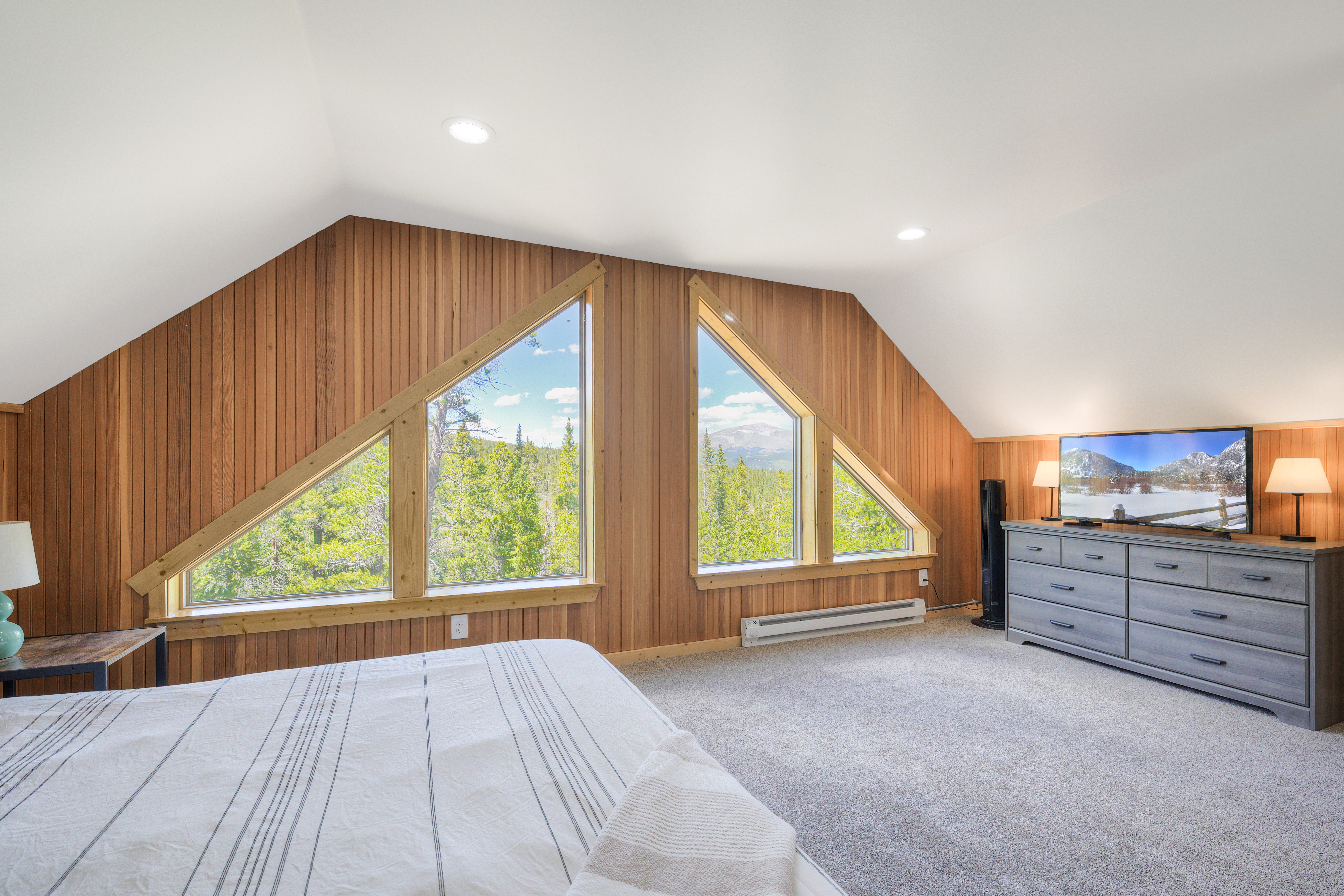  2123 Valley Of The Sun Drive, Fairplay, CO, 80440 - 物件實景