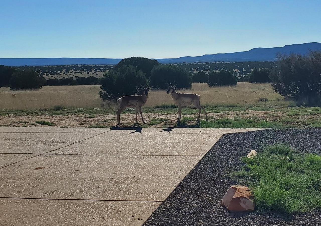 337 Scholle Road, Mountainair, New Mexico, 87036, United States, 3 Bedrooms Bedrooms, ,3 BathroomsBathrooms,Residential,For Sale,337 Scholle Road,1459491