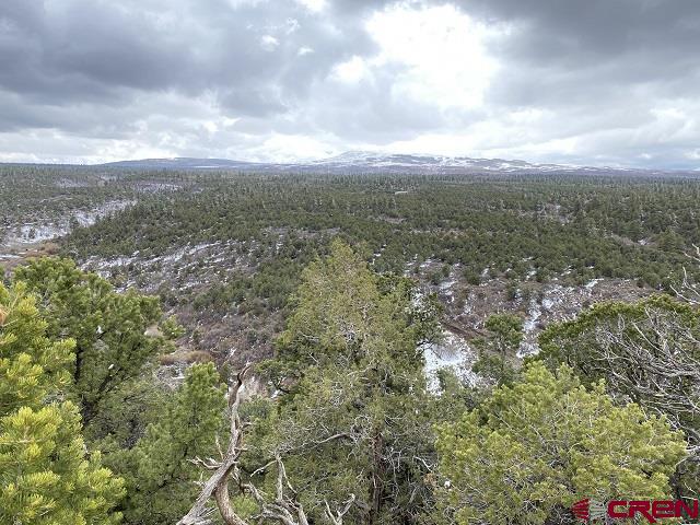 Montrose, Colorado, 81403, United States, ,Land,For Sale,1919926