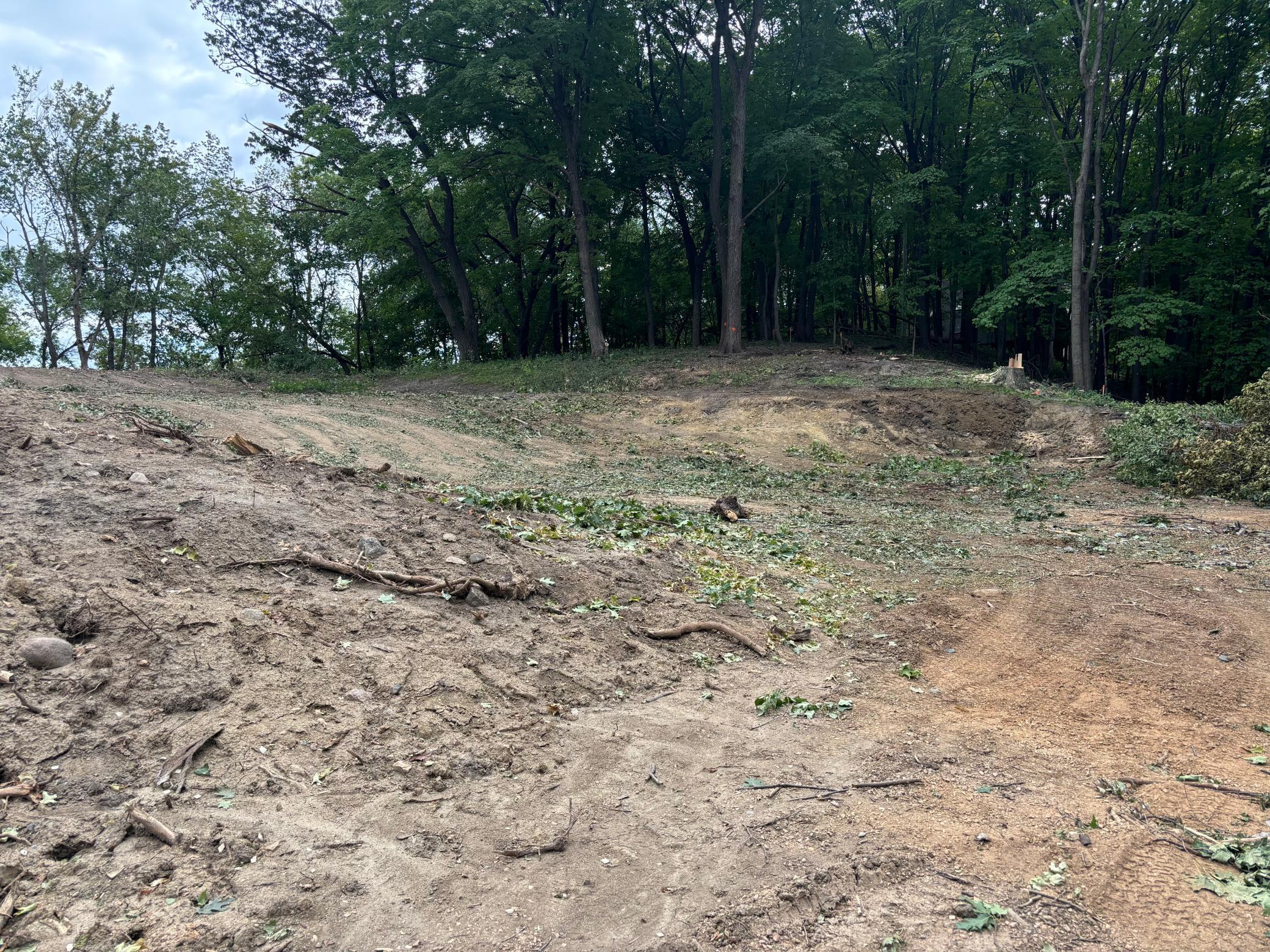 460 Indian Hill Road, Chanhassen, Minnesota, 55317, United States, ,Land,For Sale,460 Indian Hill Road,1603085