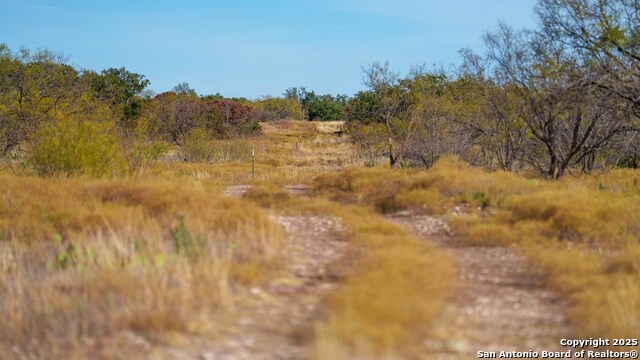 Other, 11111, United States, ,Land,For Sale,1948635