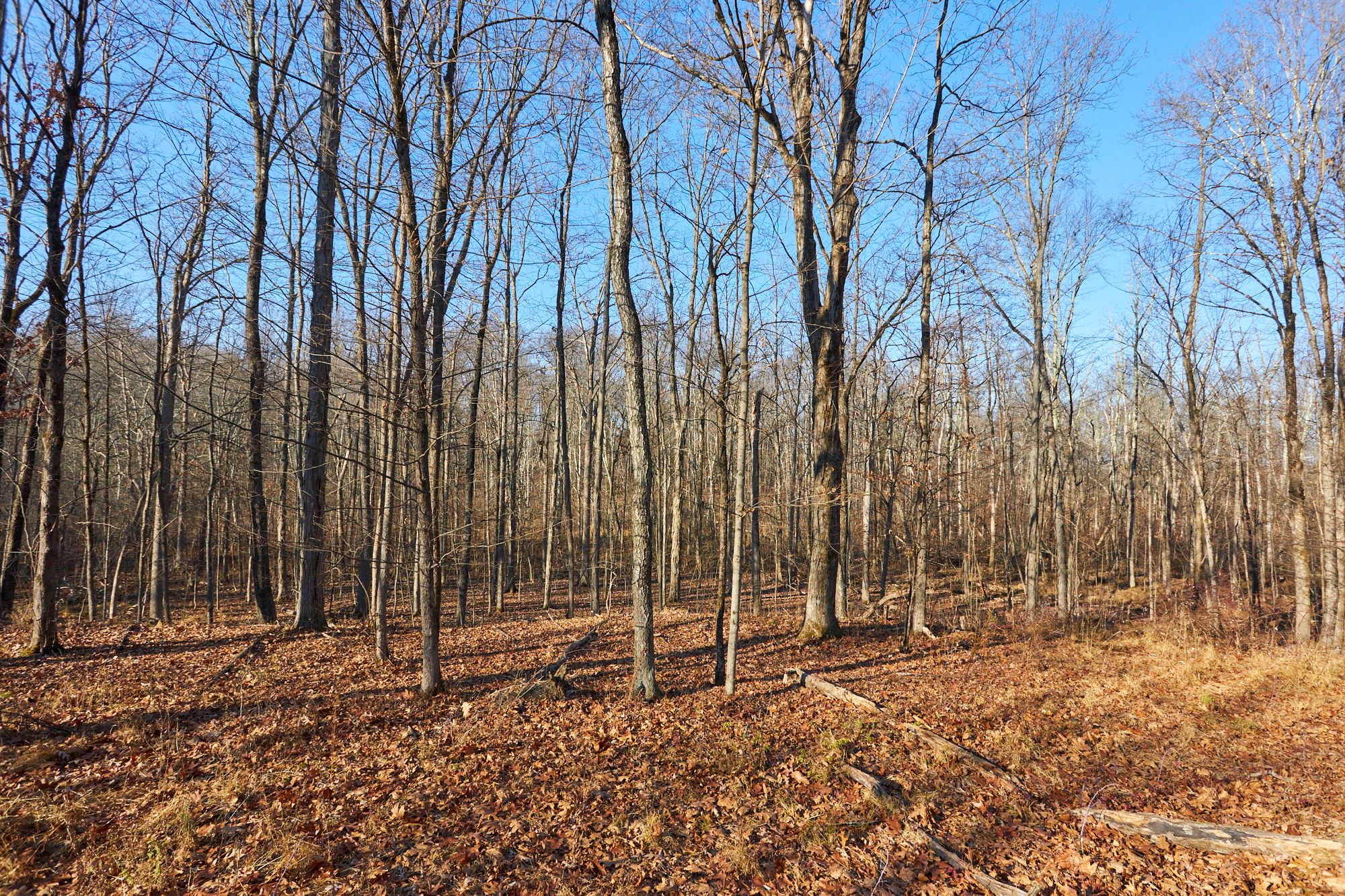 LOT 2 - 471 Church Ave, Germantown, NY, 12526 
