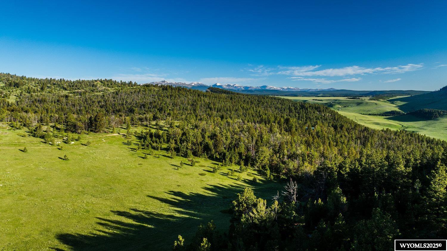 Buffalo, Wyoming, 82834, United States, ,Land,For Sale,1778348